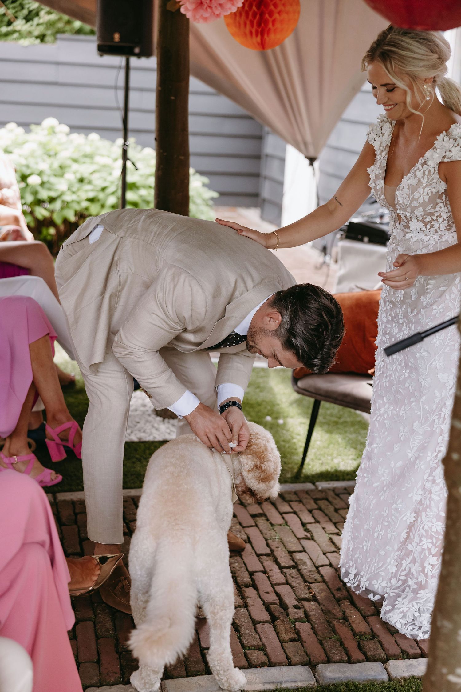 A fluffy white dog interacts with wedding guests on a brick patio under decorative pink lanterns.