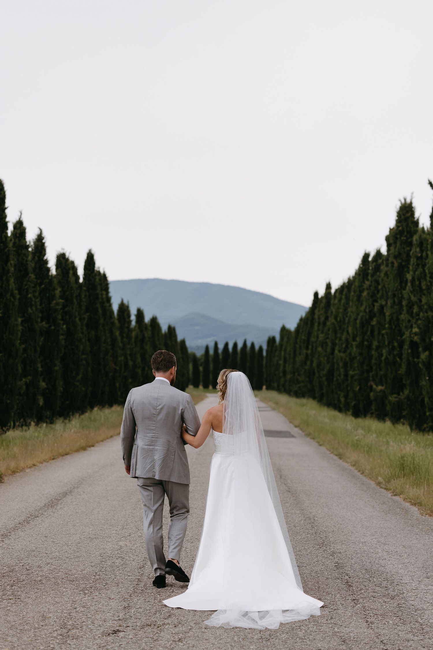 Tree-lined wedding venue driveway with cypress trees leading to distant mountains.