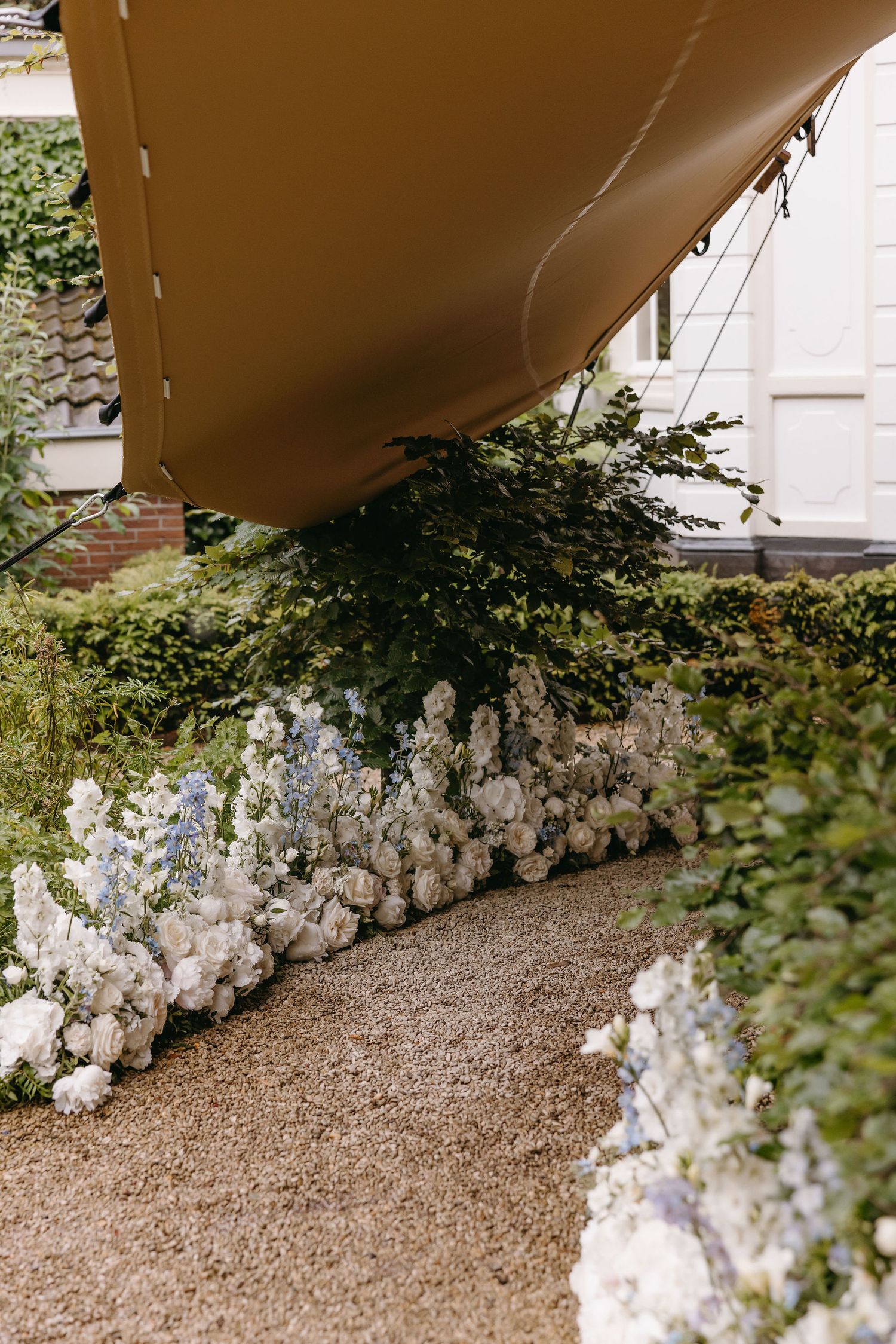 Garden pathway lined with white flowers and covered by brown canopy.