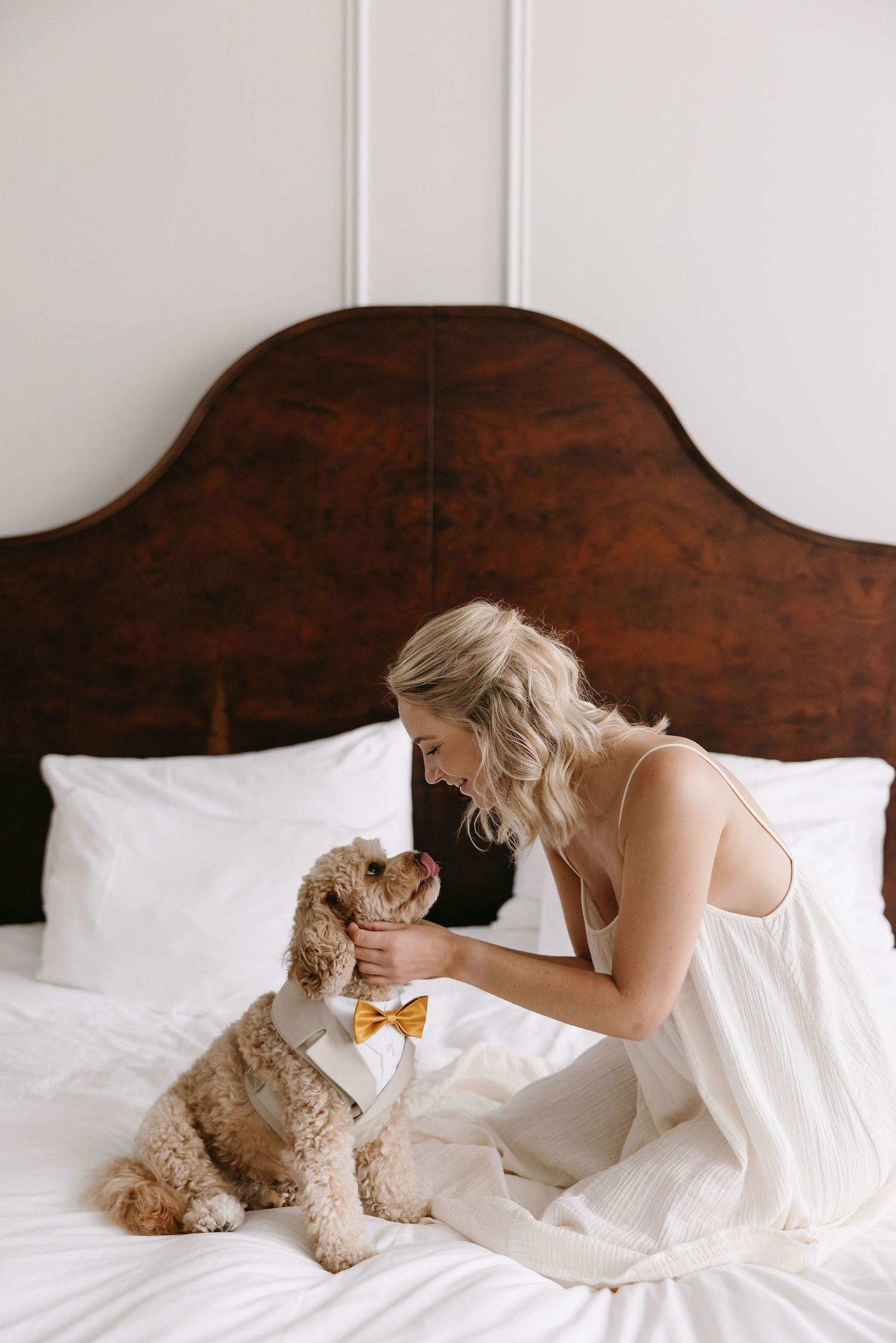 Fluffy dog wearing bow tie lies on white bed while getting attention.