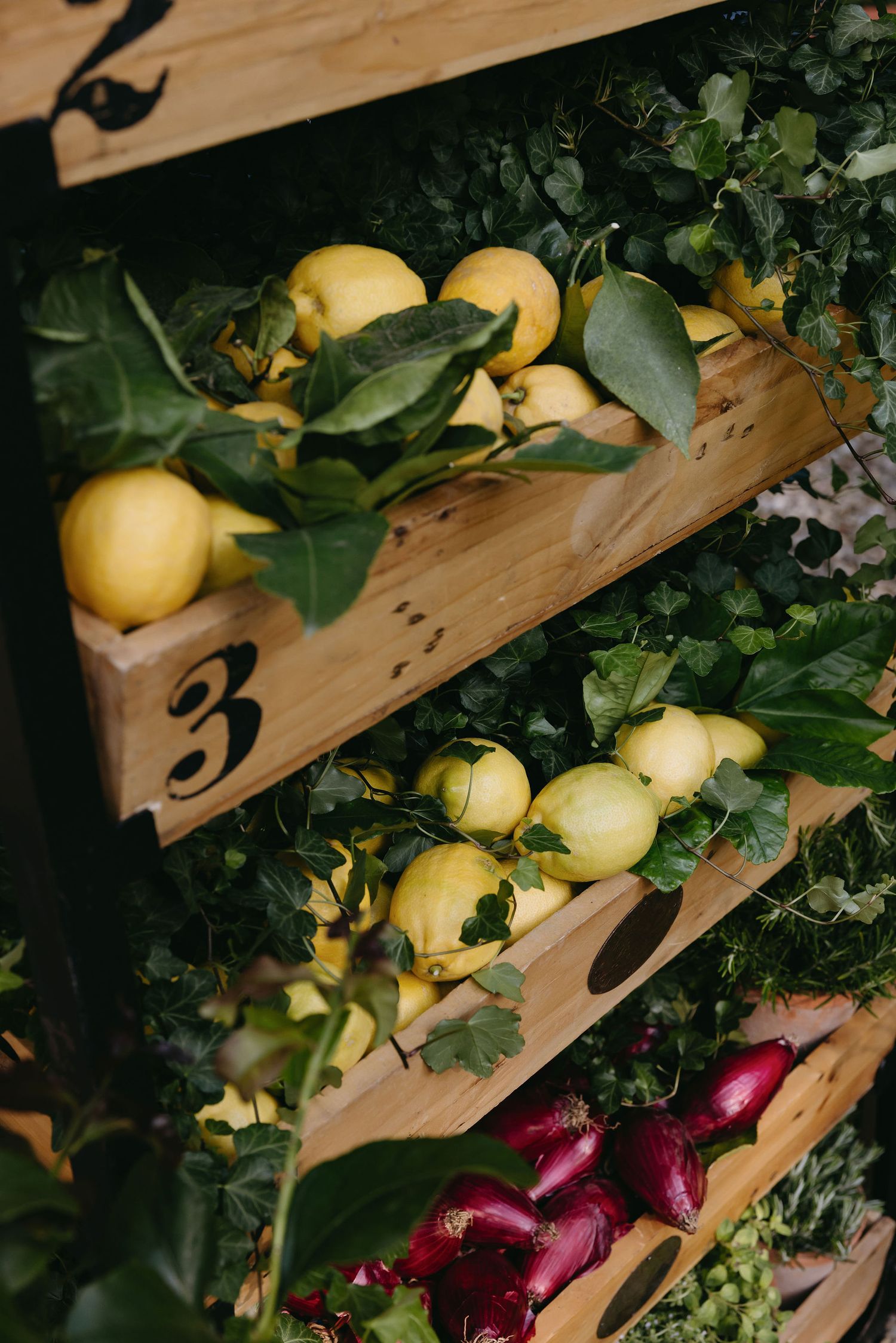 Fresh lemons and colorful produce displayed on wooden shelves.