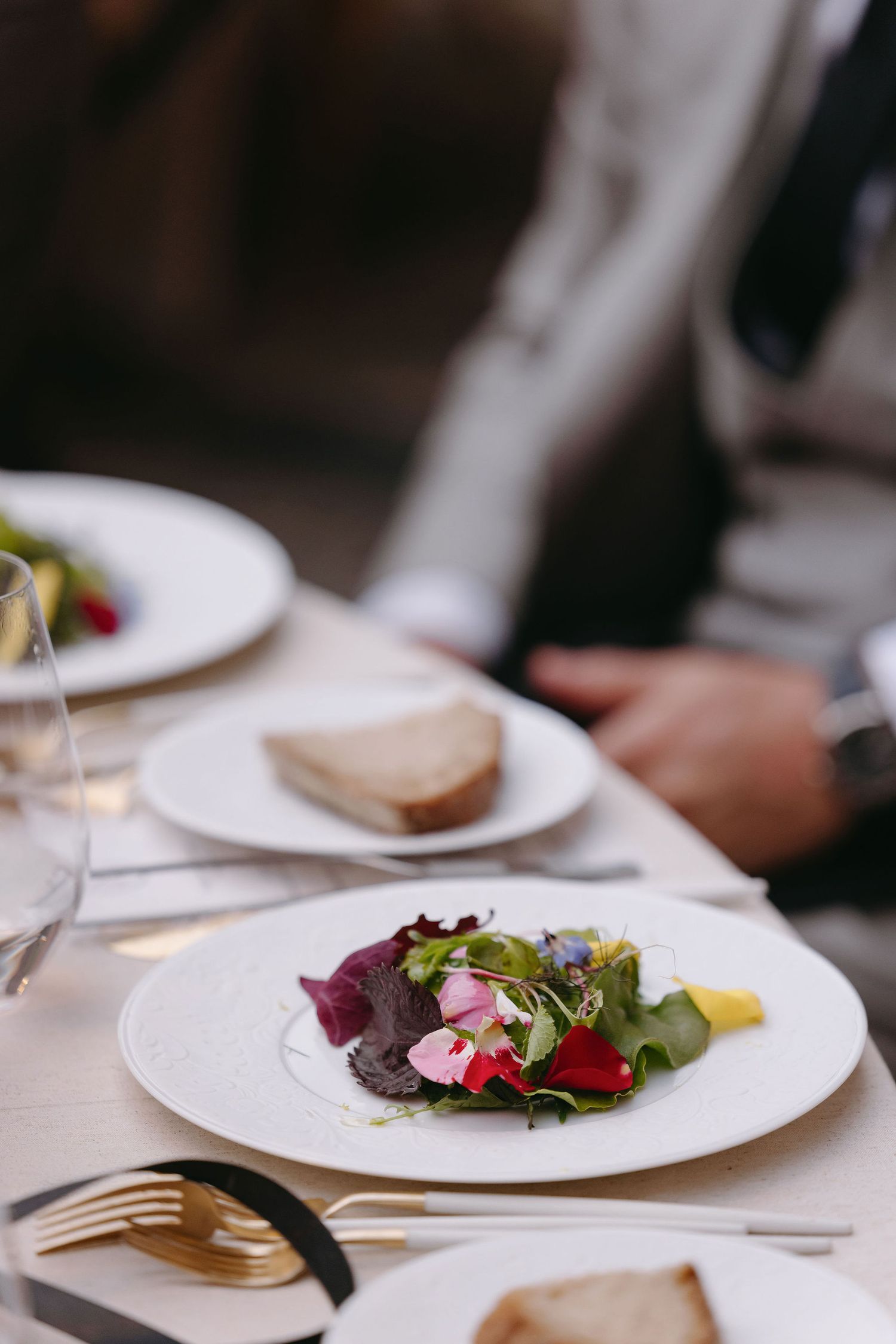 Elegant plated dinner service with fresh salads and modern presentation.