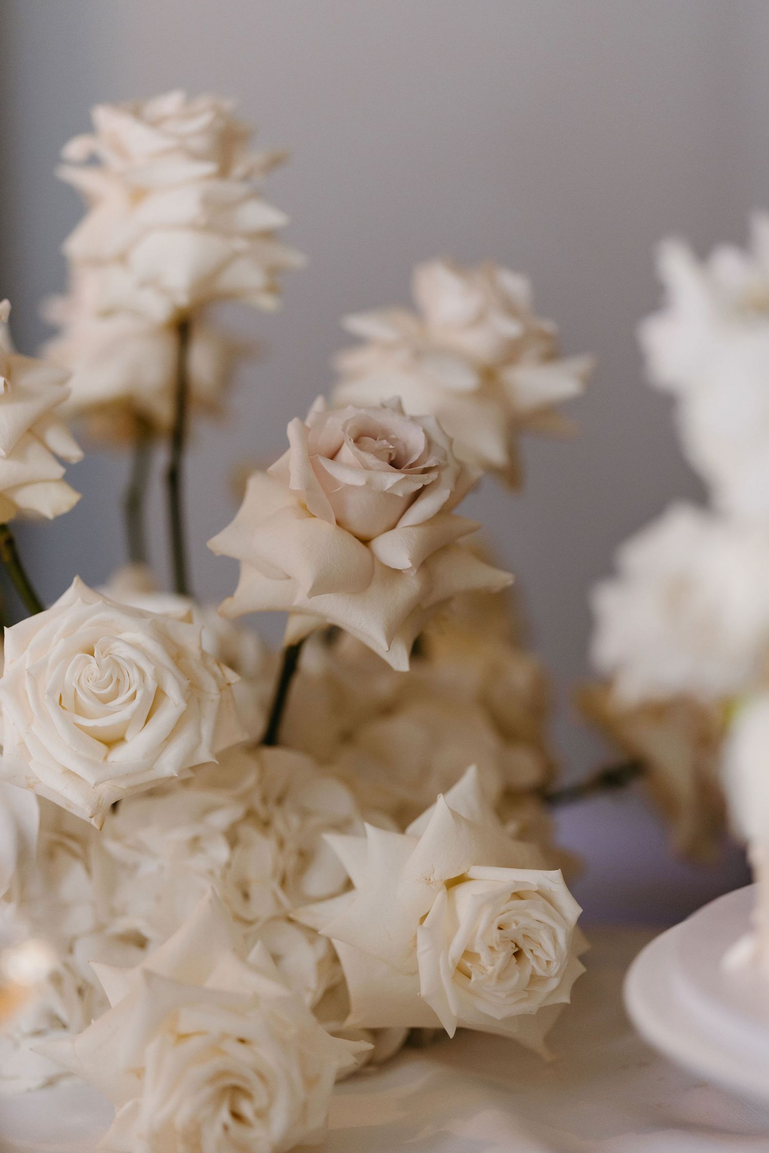 Delicate white roses arranged in soft focus creating a romantic atmosphere.