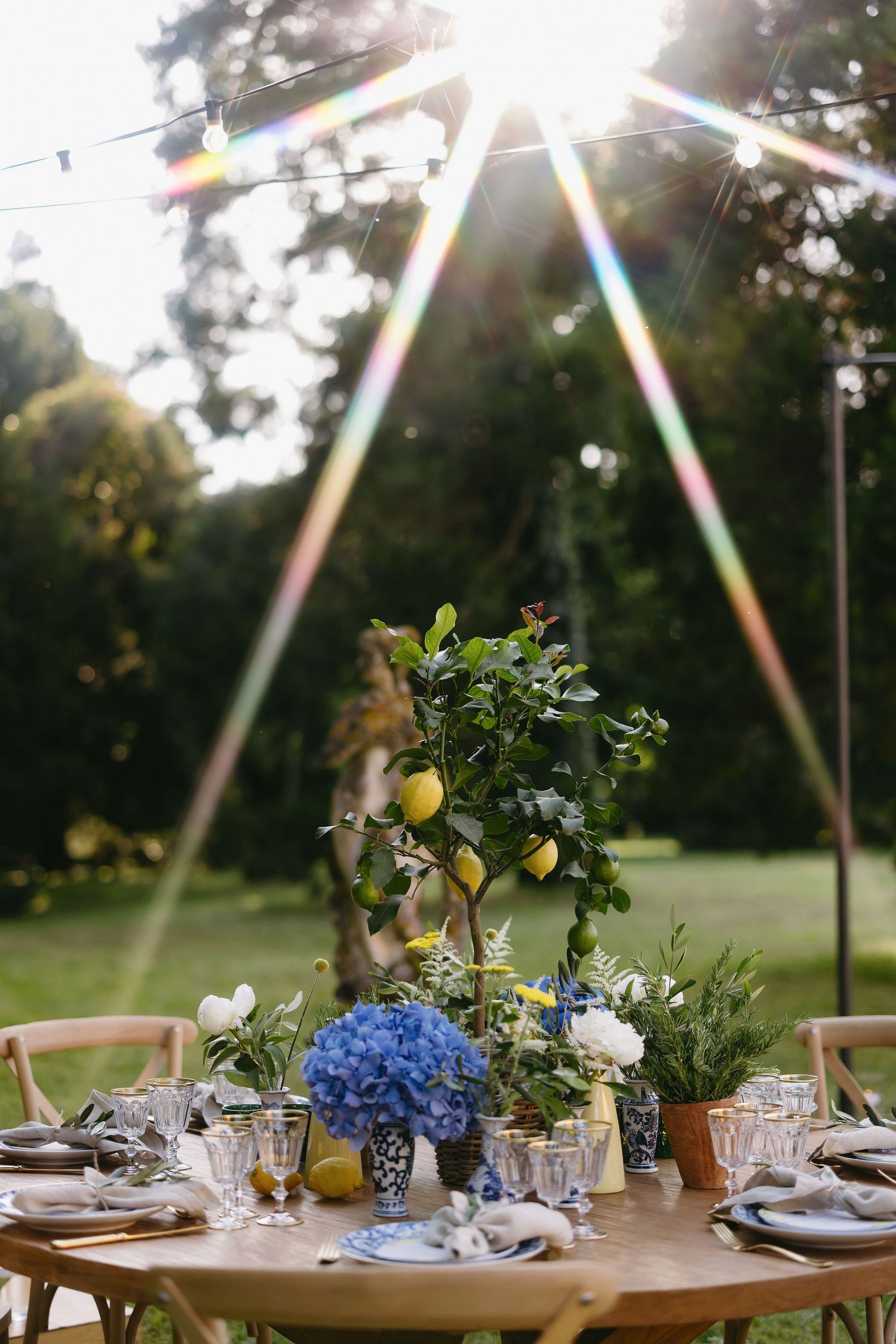 Garden wedding table setting with blue hydrangeas, lemon trees and string lights creating a magical atmosphere.