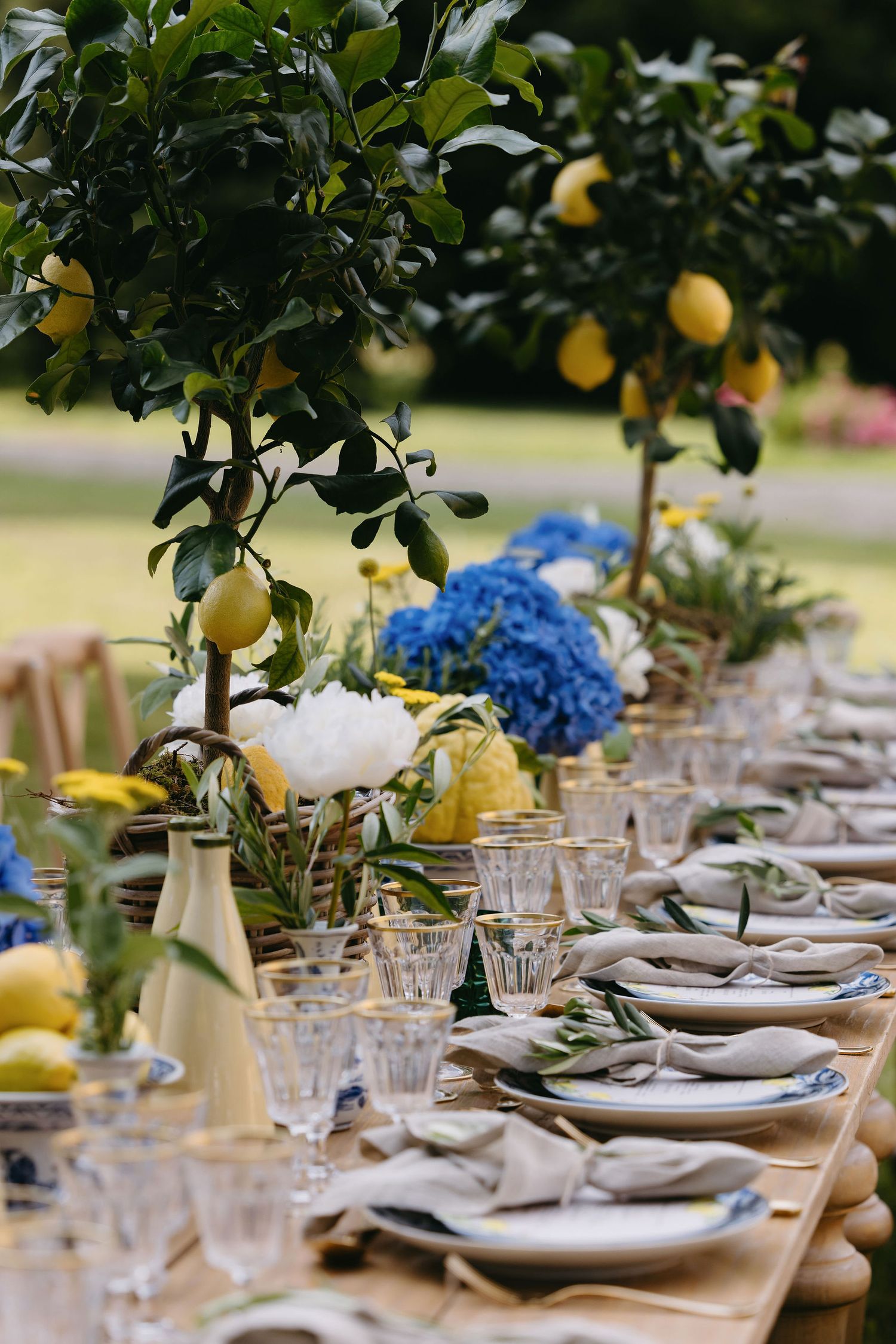 Elegant table setting with lemon trees, blue hydrangeas, and crystal glassware at an outdoor wedding reception.