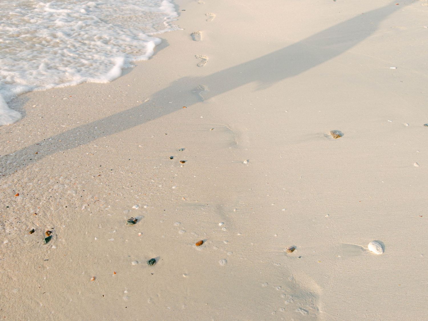 Private beach at Saadiyat Island in Abu Dhabi, featuring pristine white sands and luxury settings, perfect for weddings or exclusive events