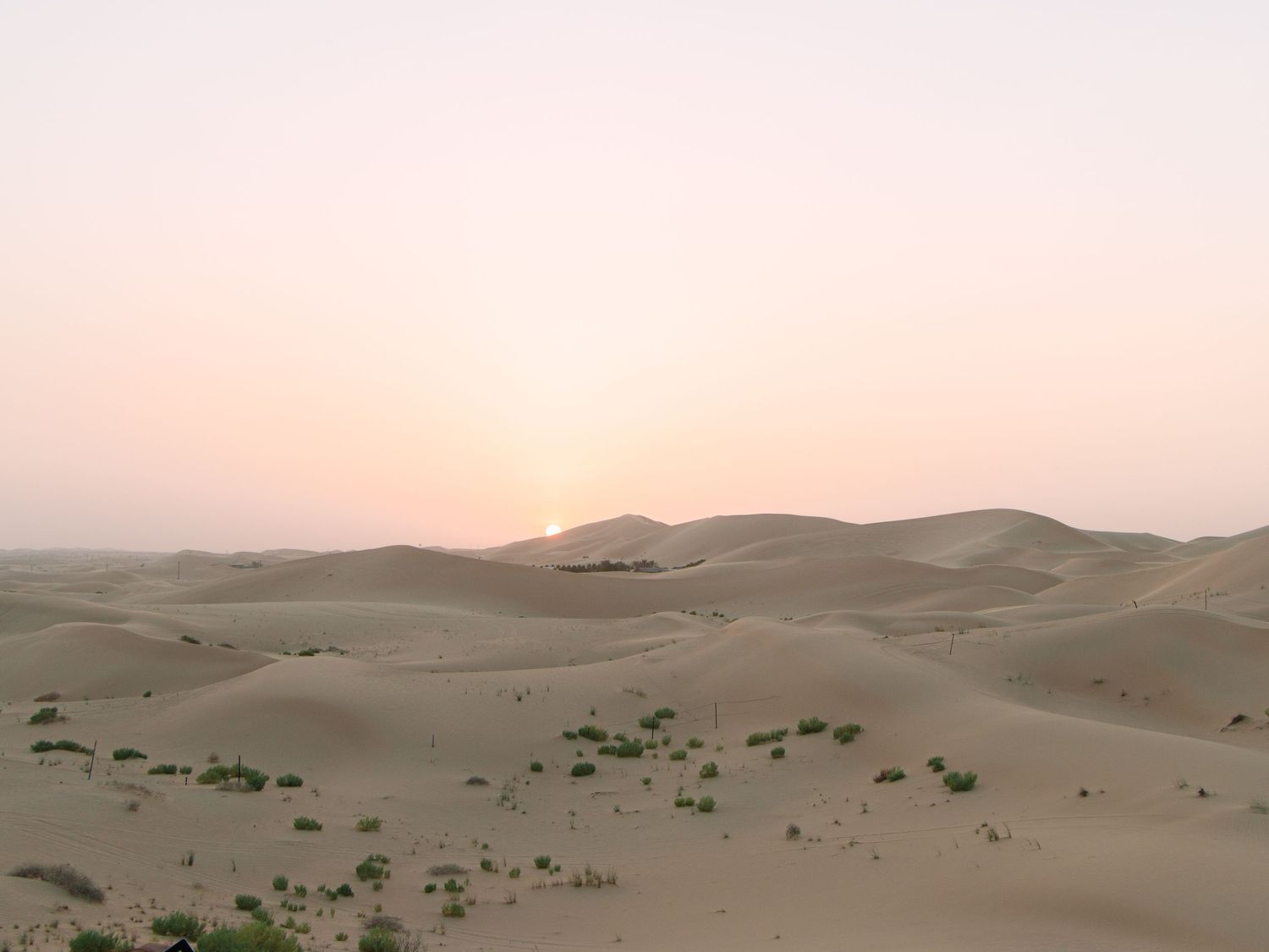 Golden hues of the Al Khatim Desert at sunset, with rolling sand dunes creating a breathtaking and serene landscape under the evening sky