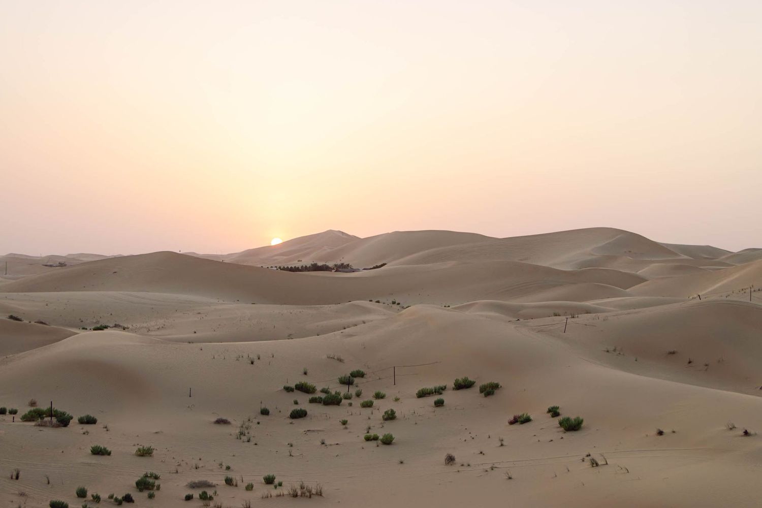 Golden hues of the Al Khatim Desert at sunset, with rolling sand dunes creating a breathtaking and serene landscape under the evening sky