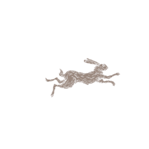 Elegant leaping hare illustration in brown sketch style, capturing dynamic motion of a running rabbit.