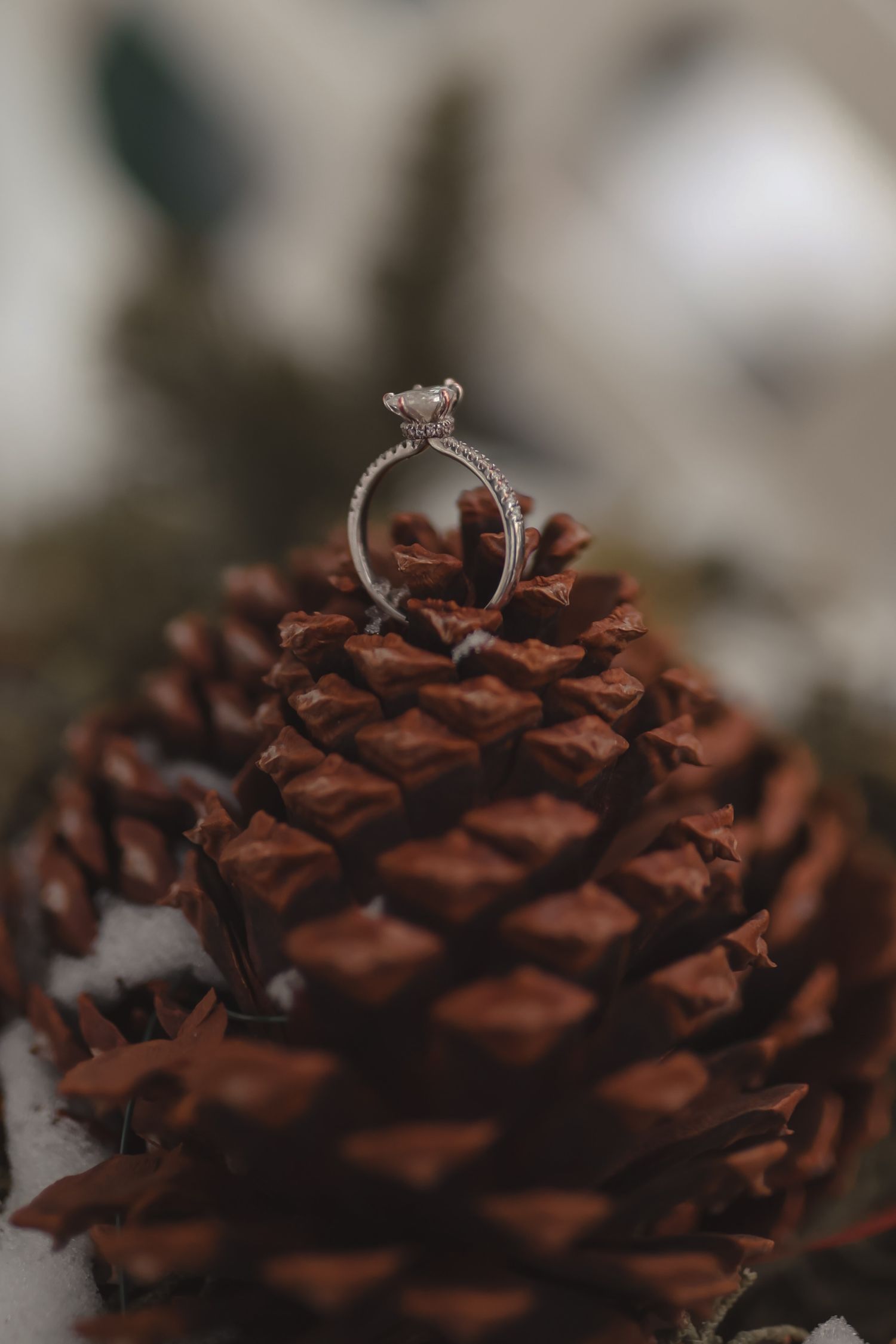 Diamond engagement ring displayed on a rustic pine cone with snow, perfect for a winter wedding proposal.