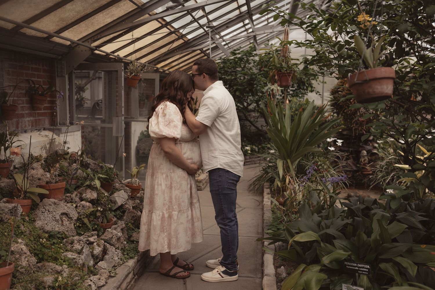 Couple sharing a tender kiss in a sunlit greenhouse filled with green plants during maternity shoot.