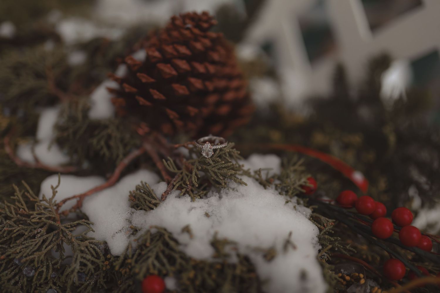 Diamond engagement ring resting on snowy evergreen branches with red berries and a pine cone in a festive winter setting.