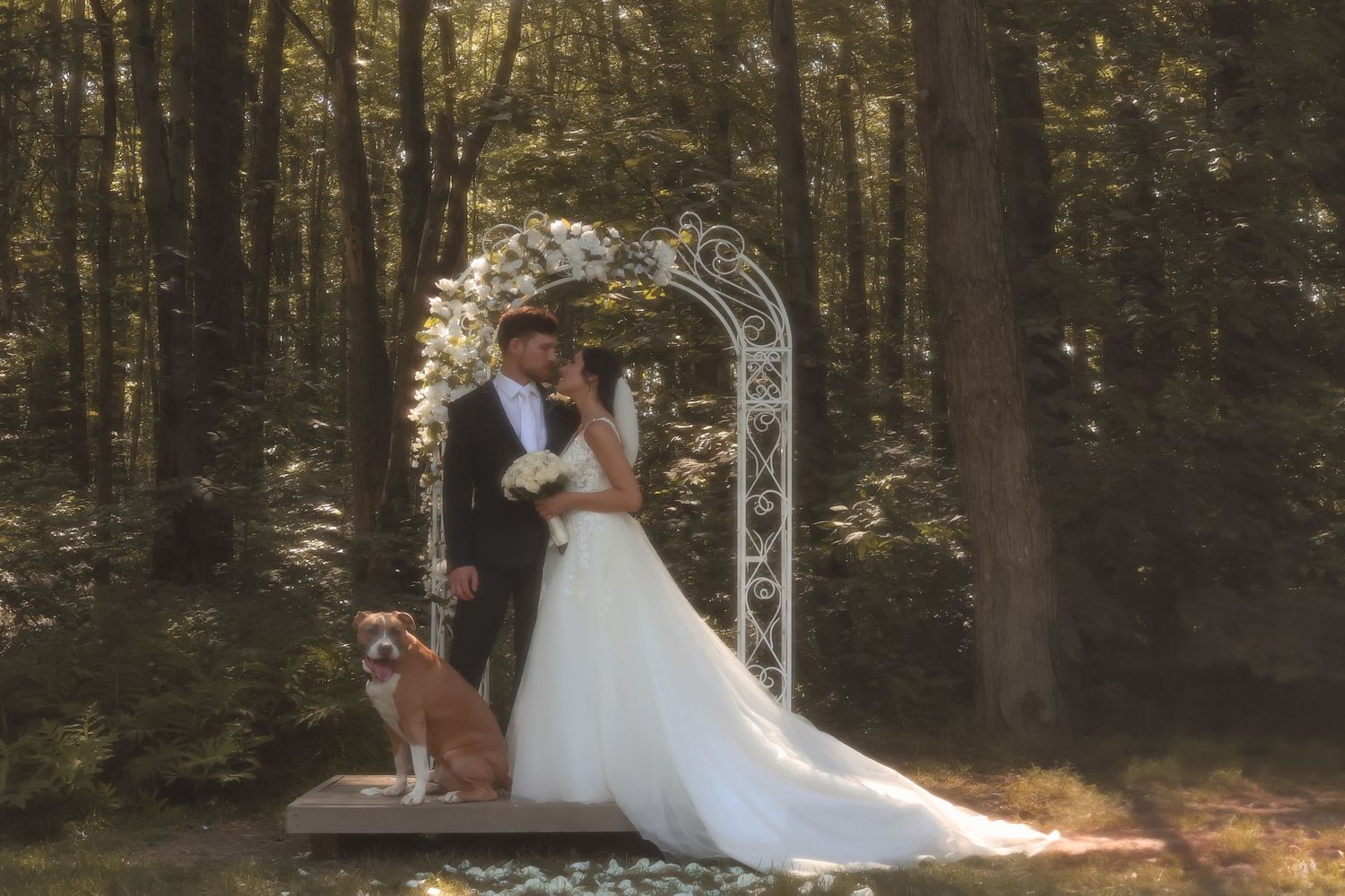 Bride and groom pose under white arch with dog in sunlit forest wedding ceremony.