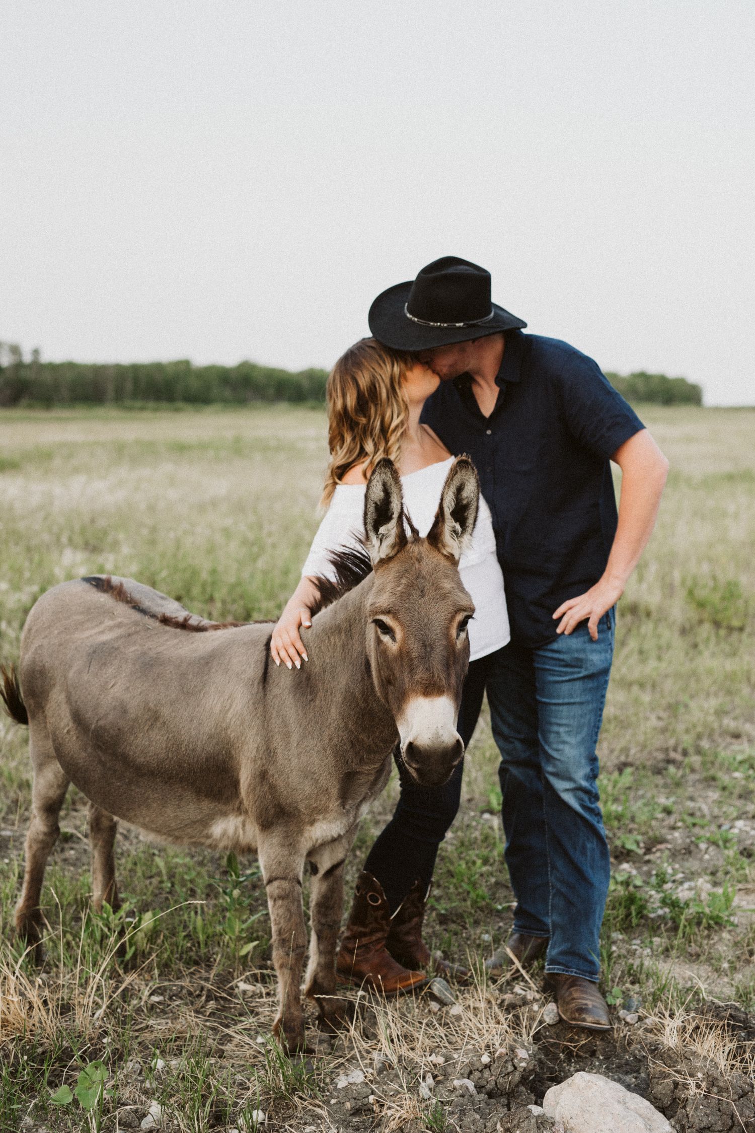 A couple interacts with a gray donkey in a rural field setting.