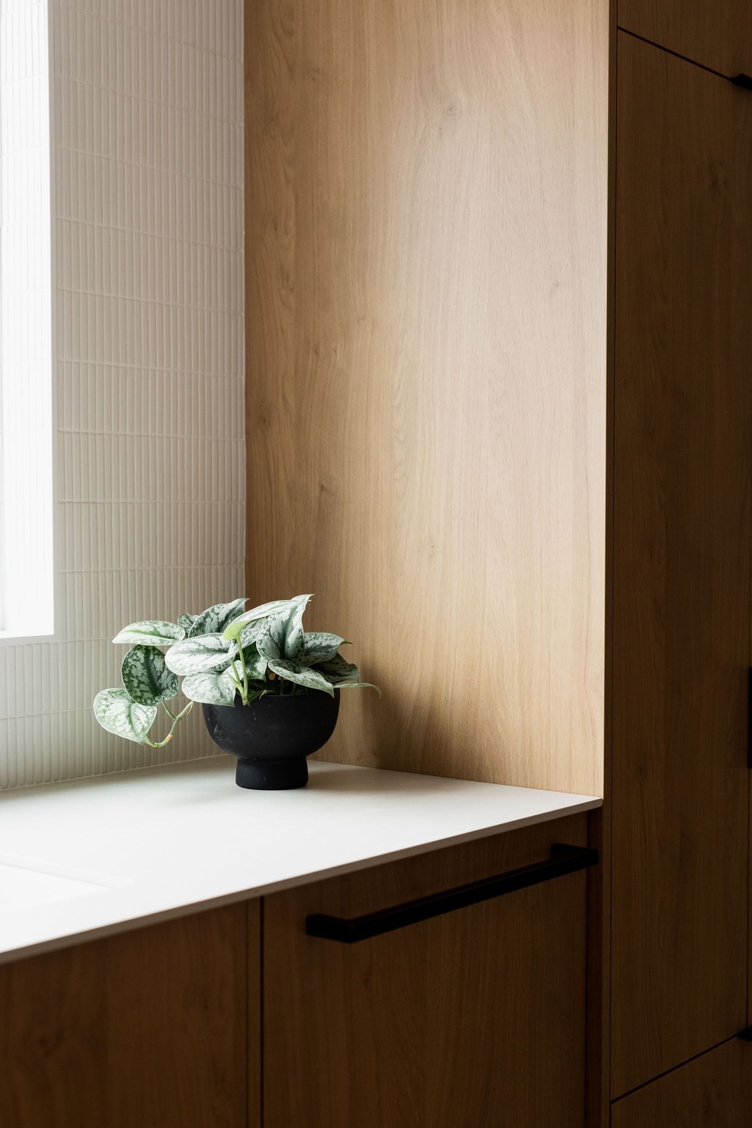 Minimalist wood built-in with plant in black pot near window.
