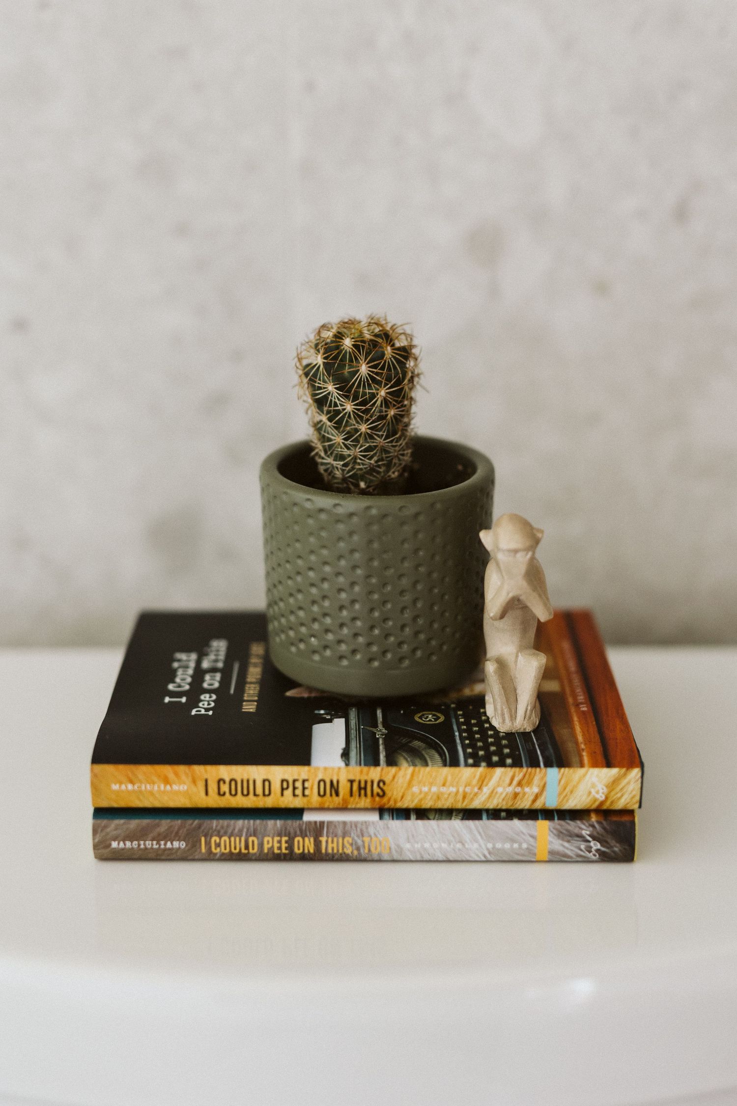 Small potted cactus displayed on stacked books with neutral decor.