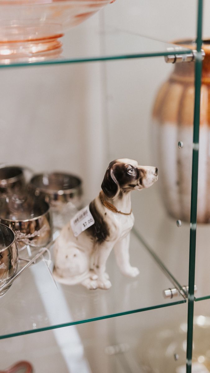 Glass display shelves holding vintage white china and collectibles.