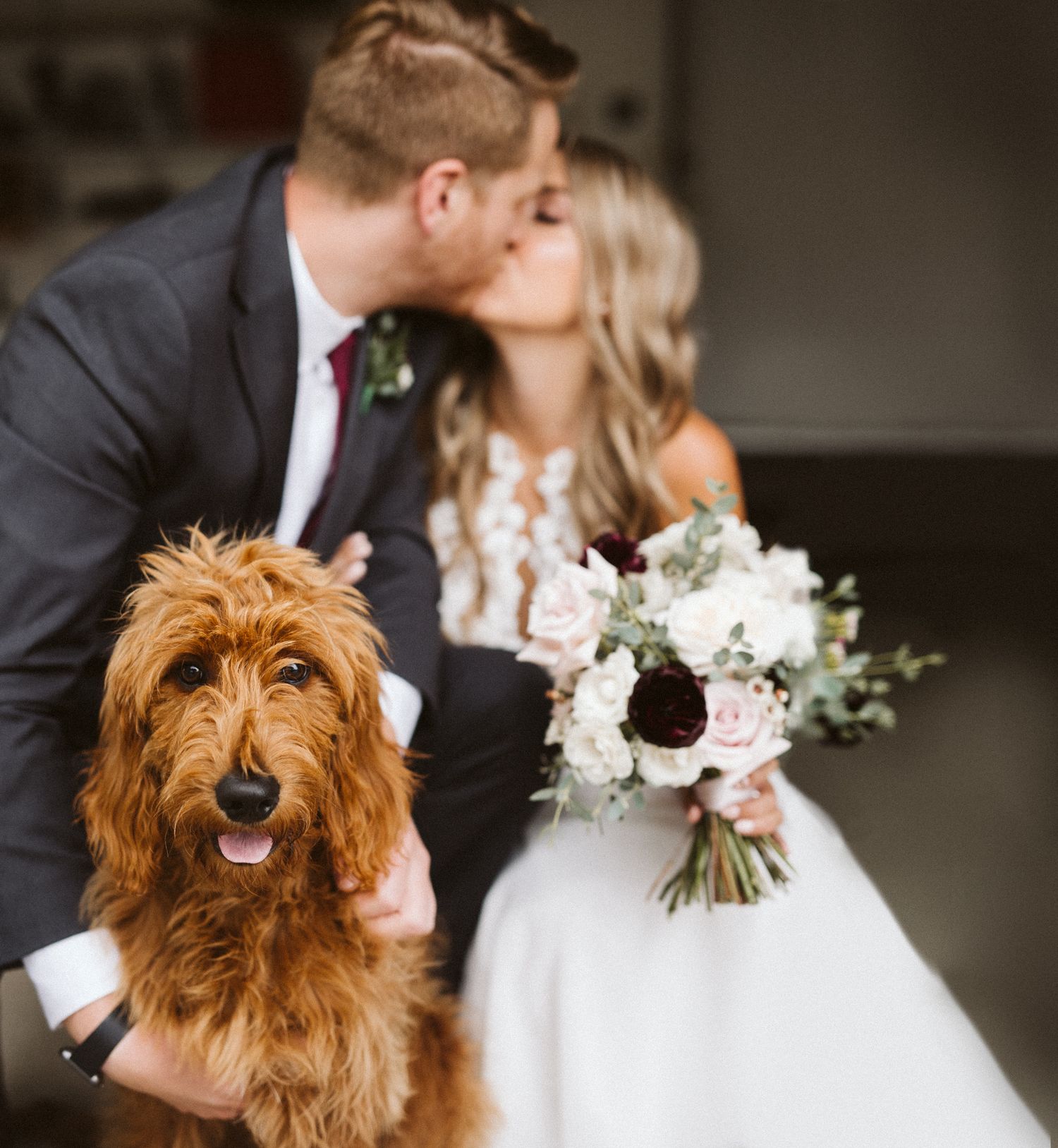 Golden doodle dog in a pink bowtie poses with a wedding bouquet of white and pink flowers.