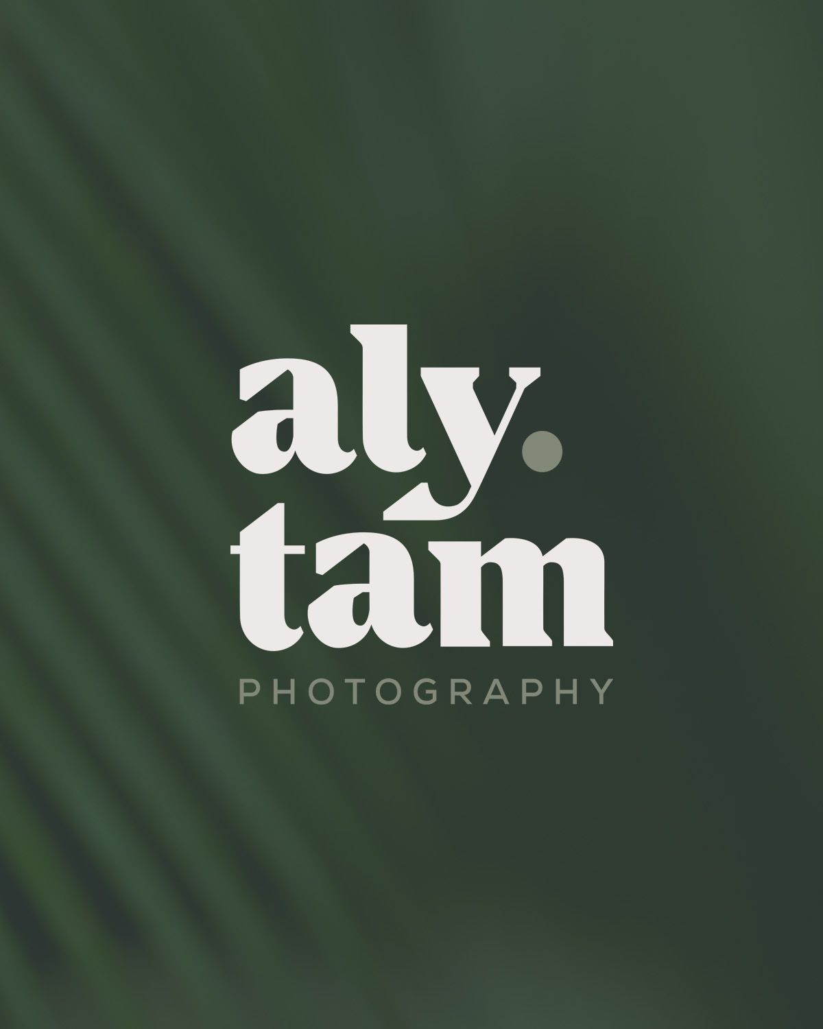 Winnipeg Wedding Photographer logo. Aly Tam Photography.