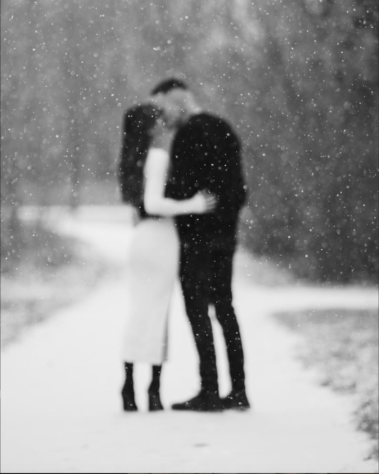 Artistic black and white photo of silhouettes in falling snow.