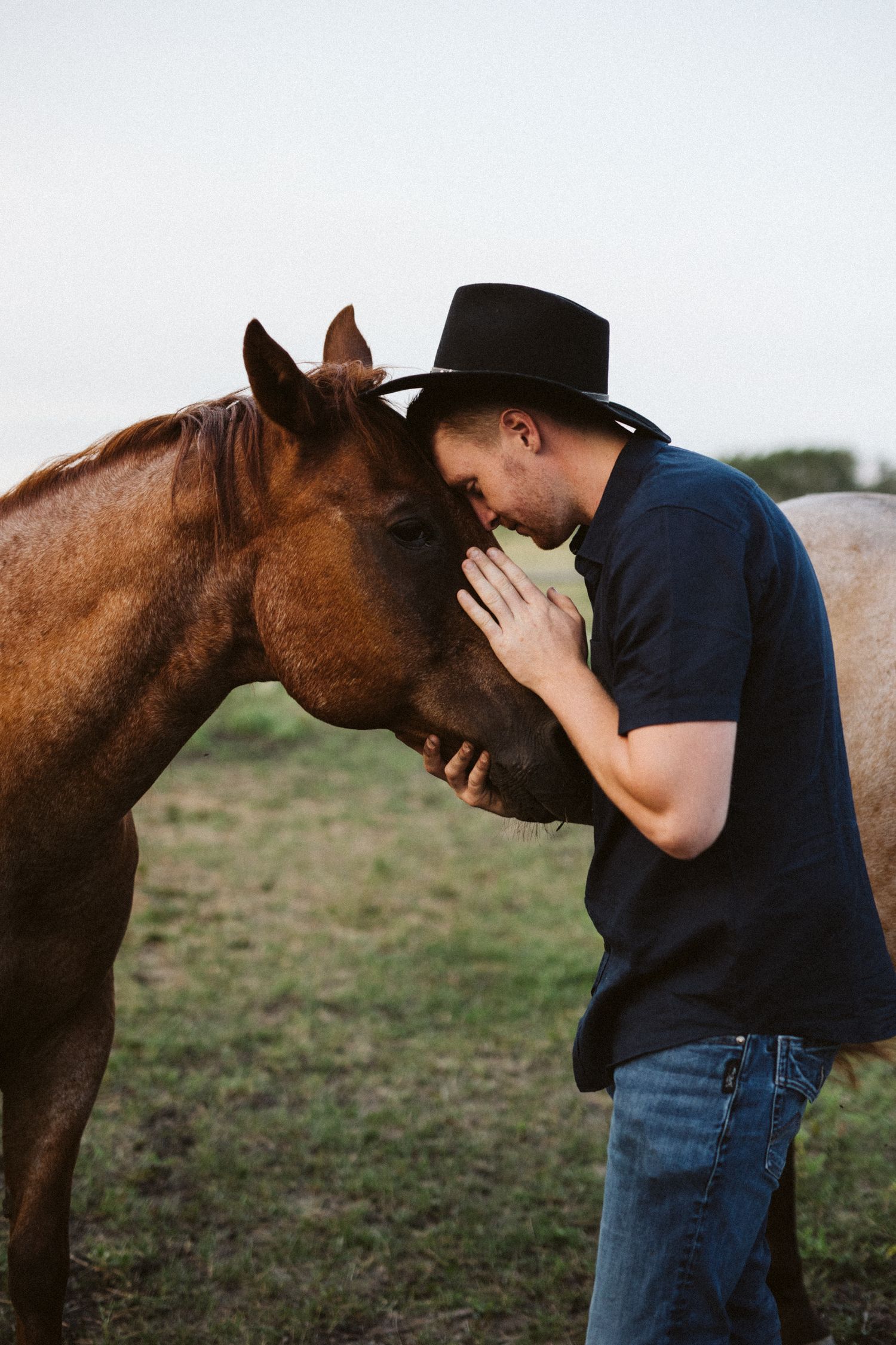 A person in a cowboy hat shares a tender moment with a brown horse in a field.