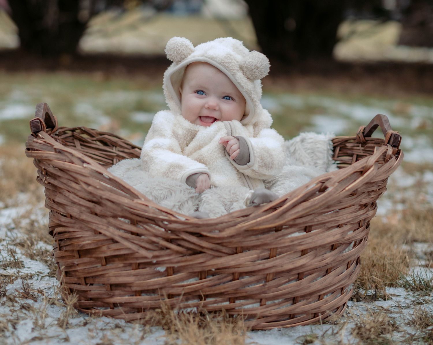 baby in a basket in iowa