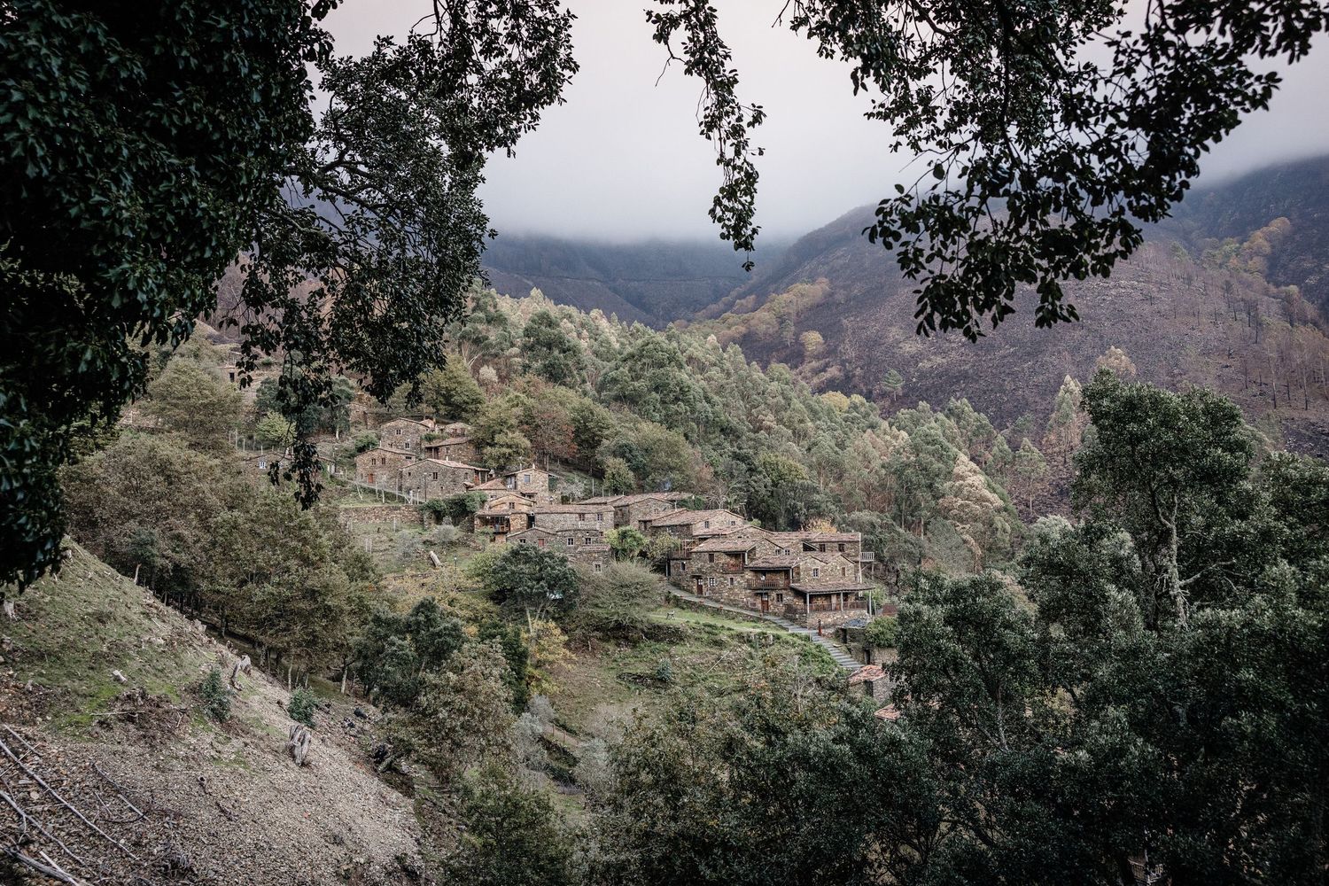 Scenic mountain landscape with winding dirt roads and green vegetation covering rugged hillsides in a remote area.