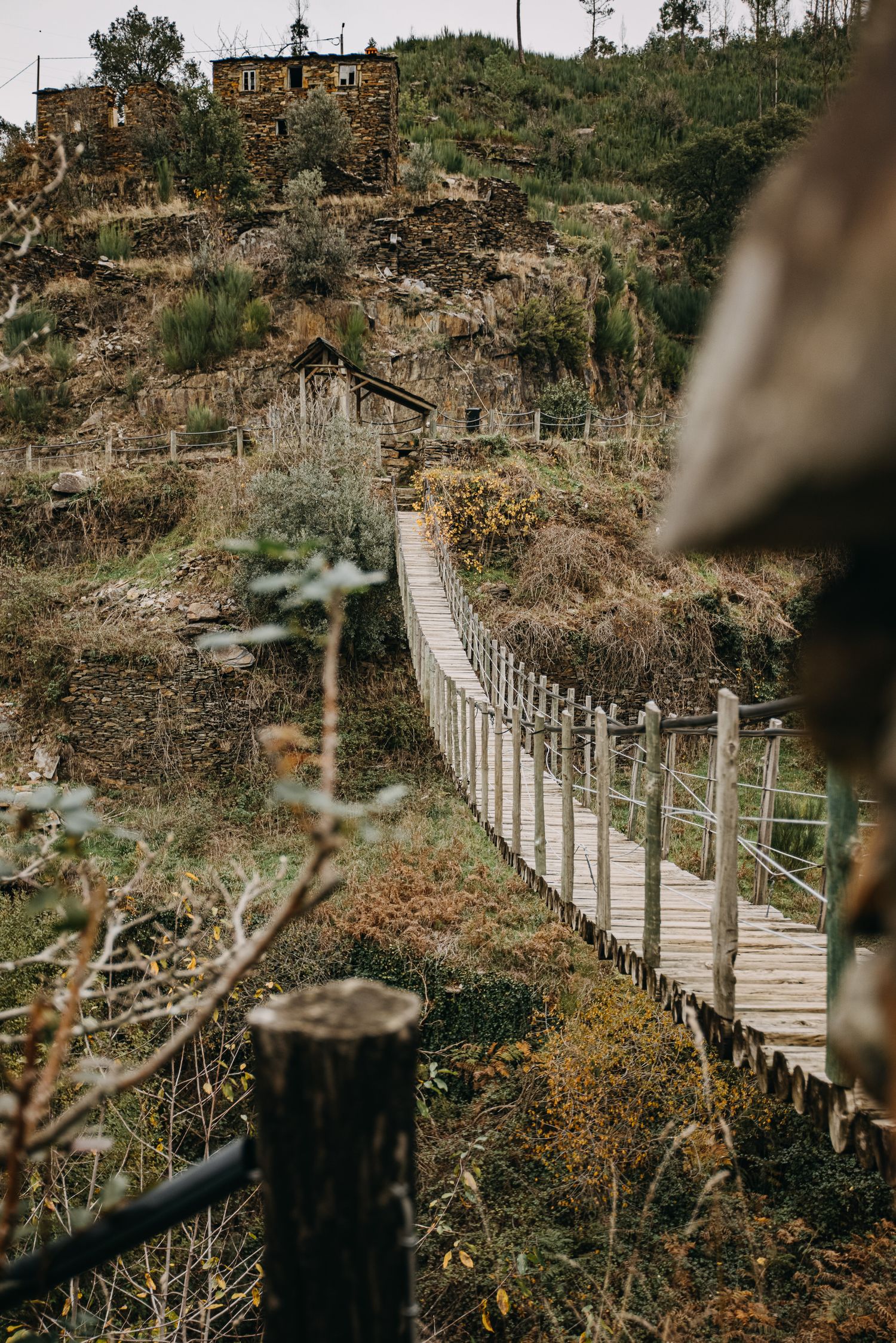 A rustic wooden suspension bridge stretches across a rugged hillside landscape with autumn foliage and trees.