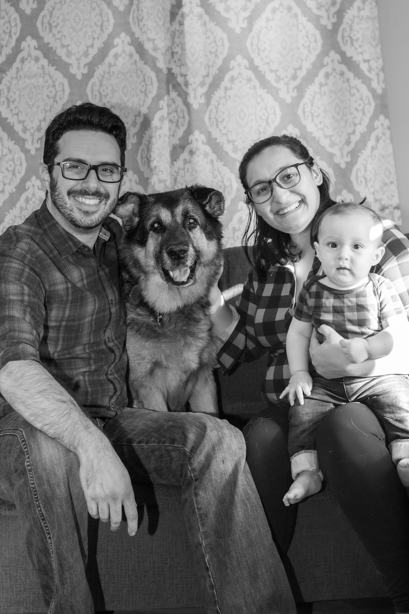 Family photos with dog for Christmas