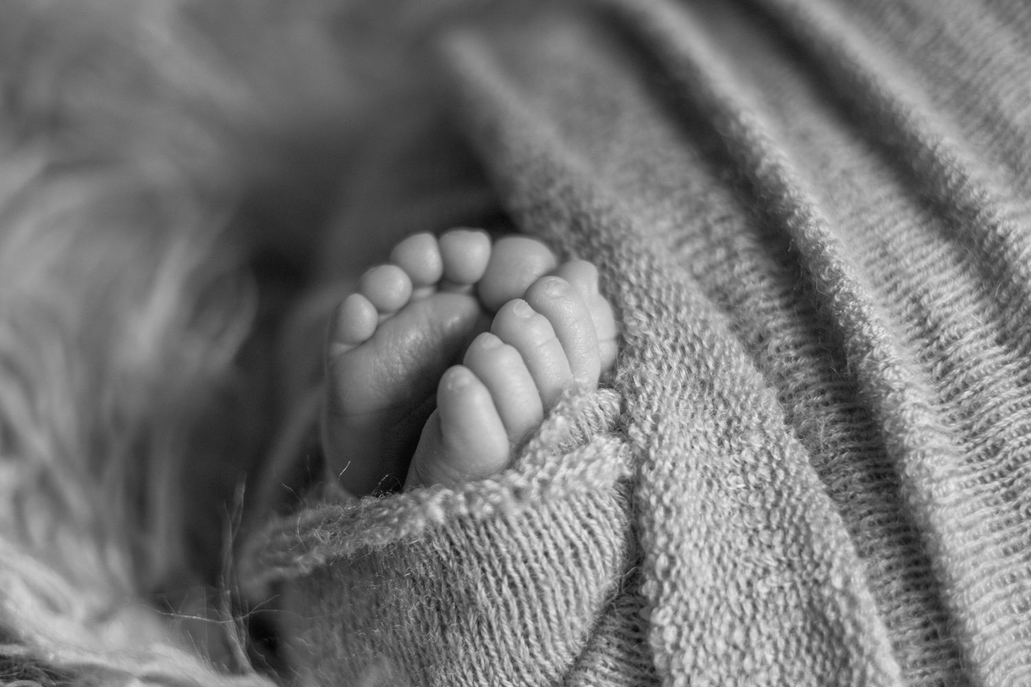 Black and white macro shot of tiny baby feet wrapped in cozy knit blanket.