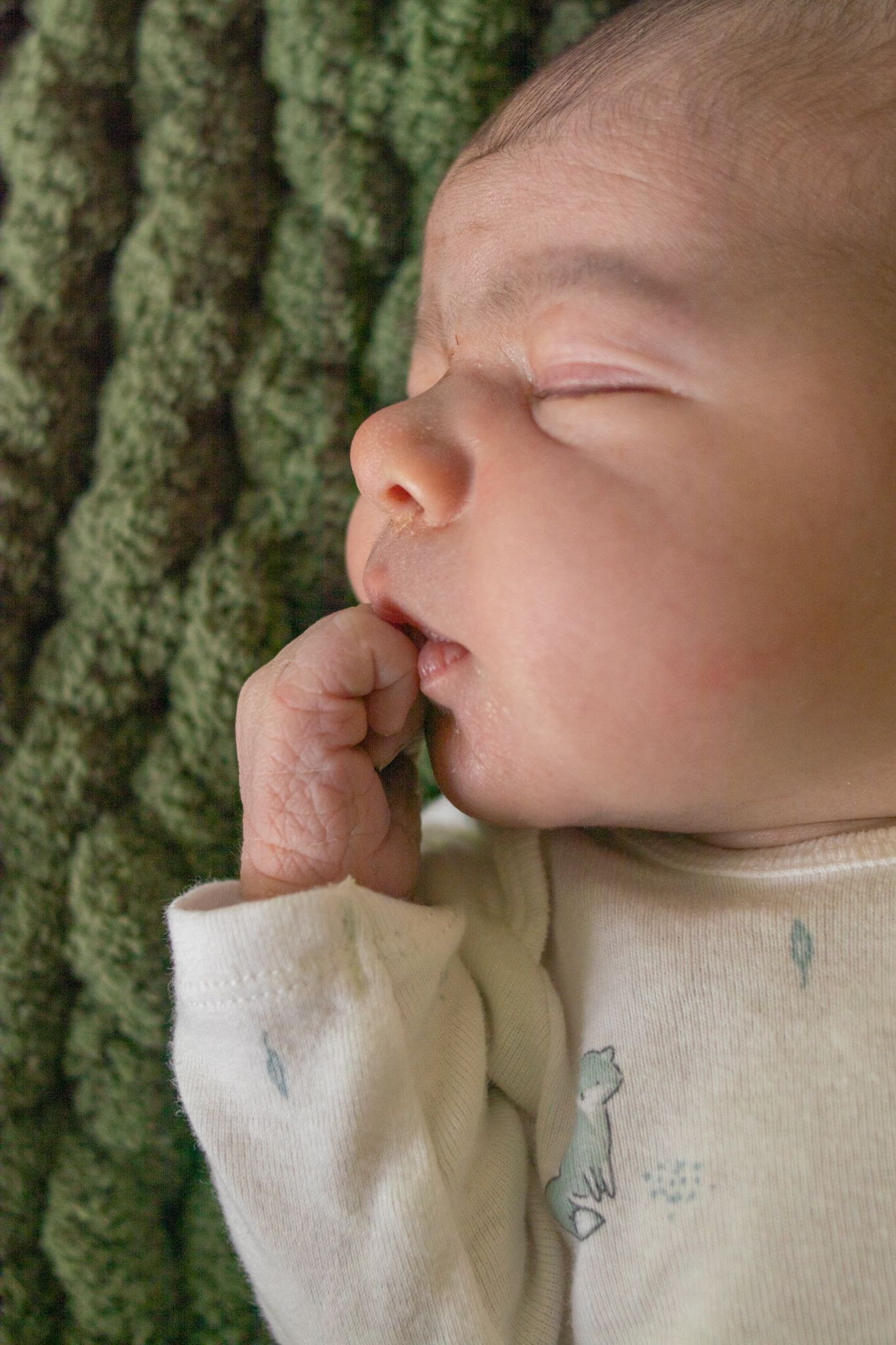 Peaceful sleeping newborn on green knit blanket with thumb near mouth.