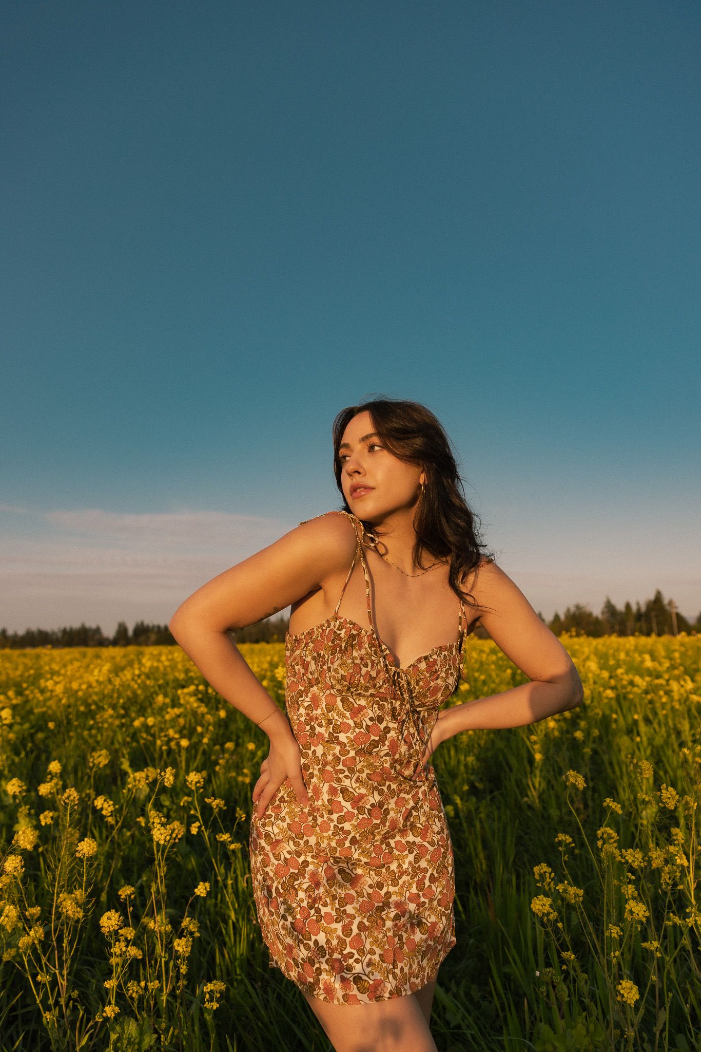 A figure in a sparkly gold dress poses in a field of yellow wildflowers at sunset.