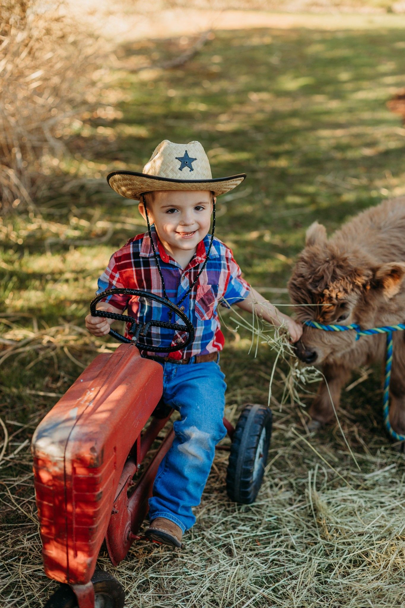 Young child in cowboy attire sitting on a red tractor with a dog nearby.