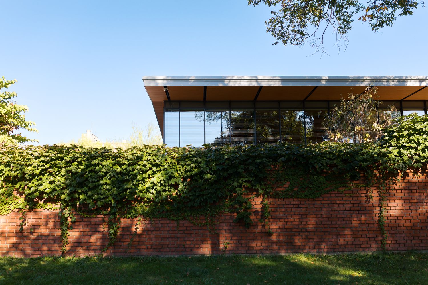 picturesque window view of the outside of the reception room at the national aviary with greenery covered brick wall in the foreground