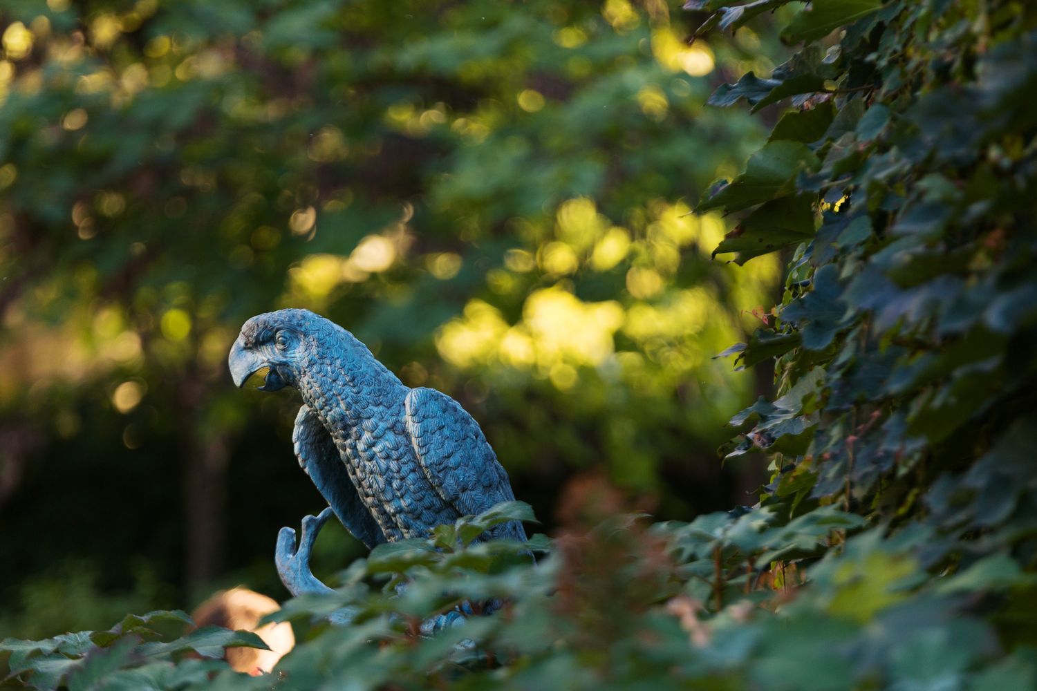 bird statue in the outdoor gardens at the national aviary