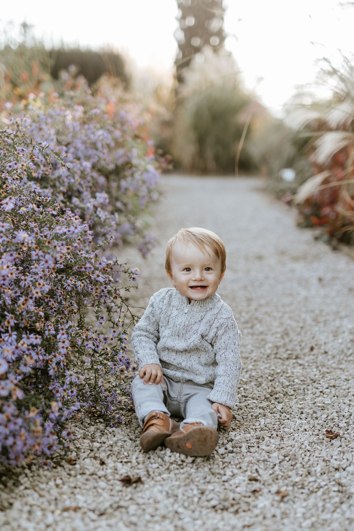 Happy smiling toddler in grey knit sweater sitting on gravel path beside purple wildflowers in garden.