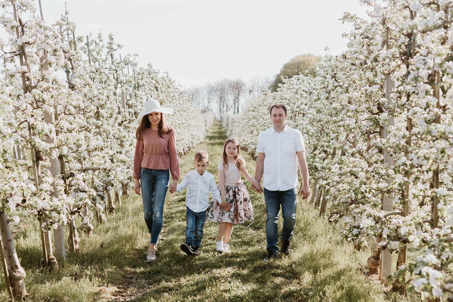 A happy family of four walks together through a stunning row of white blossoming apple trees.