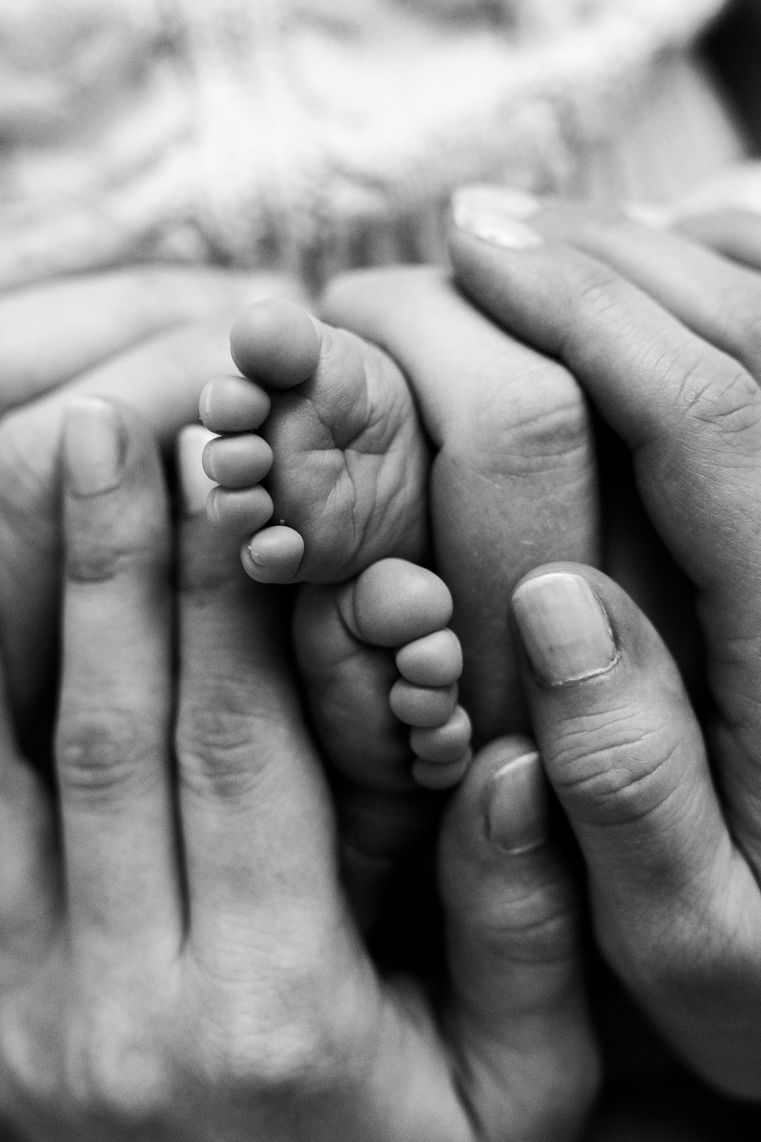 Black and white photo of a newborn baby's tiny feet cradled gently in two adult hands.