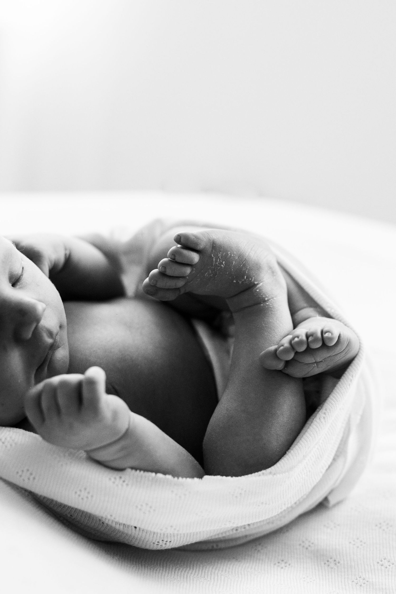 Black and white close-up of newborn baby feet and hands wrapped in soft blanket.