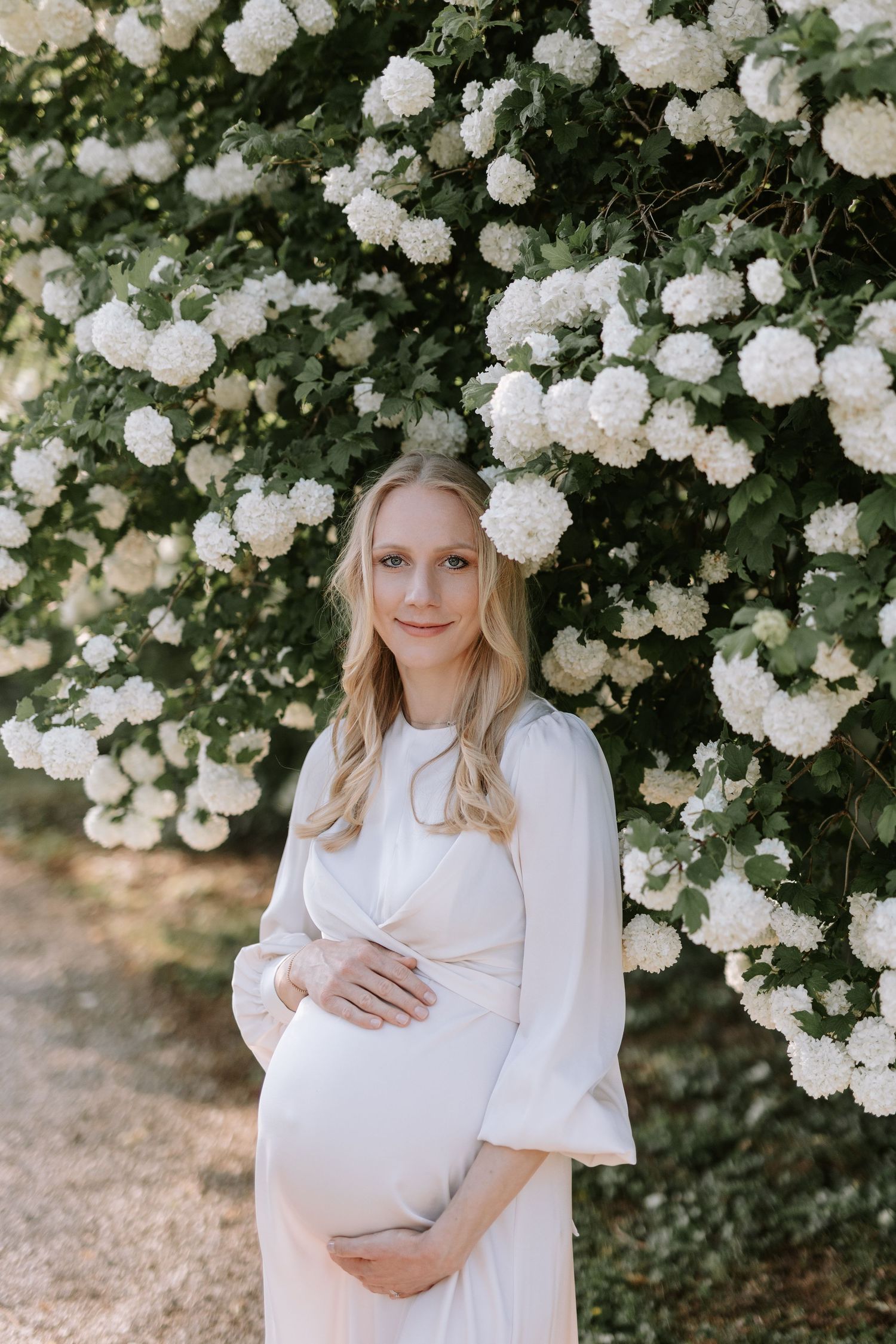 Pregnant blonde woman in white dress cradling belly beside lush white hydrangea bushes.