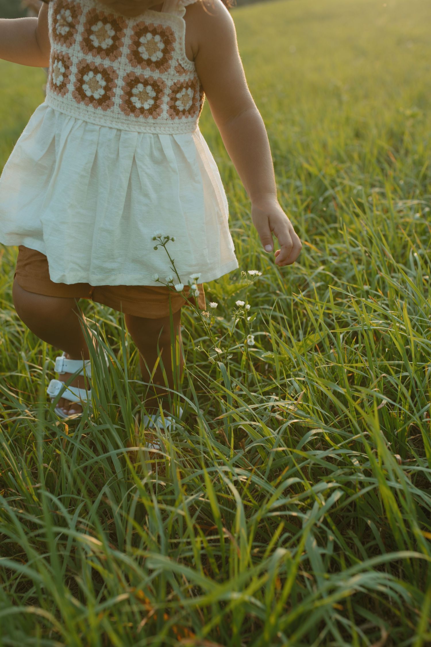 Family Photos in a field at golden hour in Sussex County New Jersey