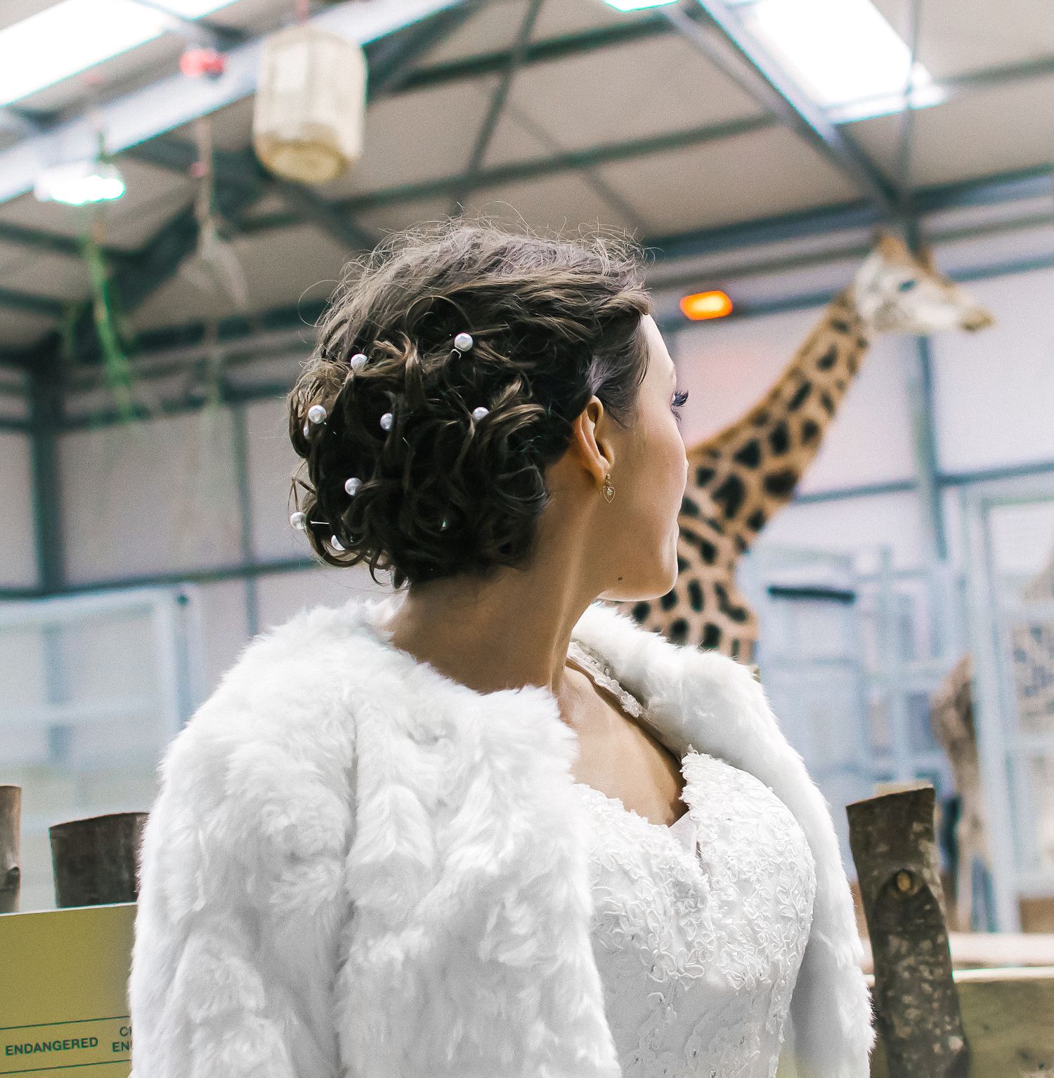 picture of the back of the brides hair whilst she looks at a giraffe at a zoo