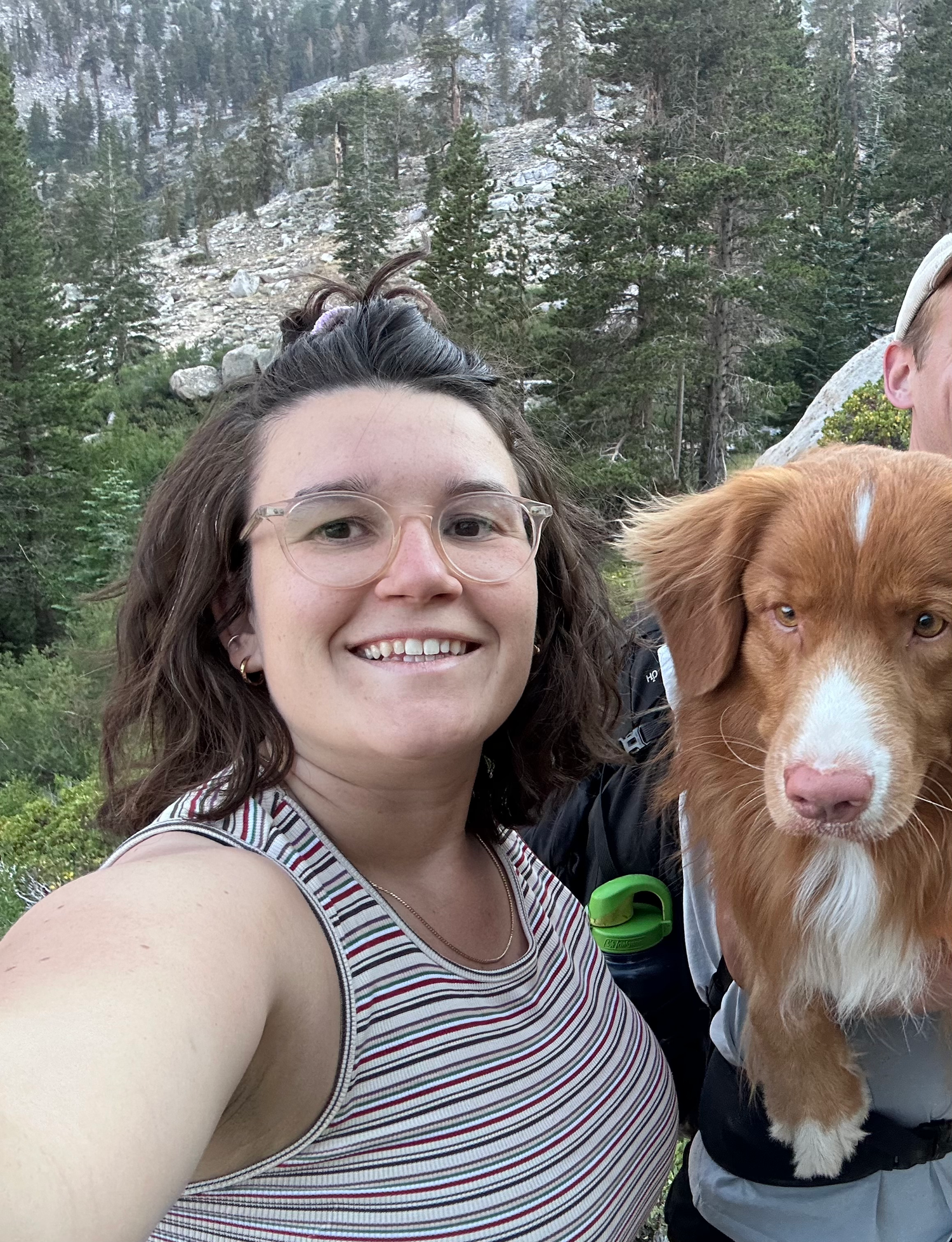 A person takes selfie outdoors with a brown and white dog against an evergreen forest backdrop.