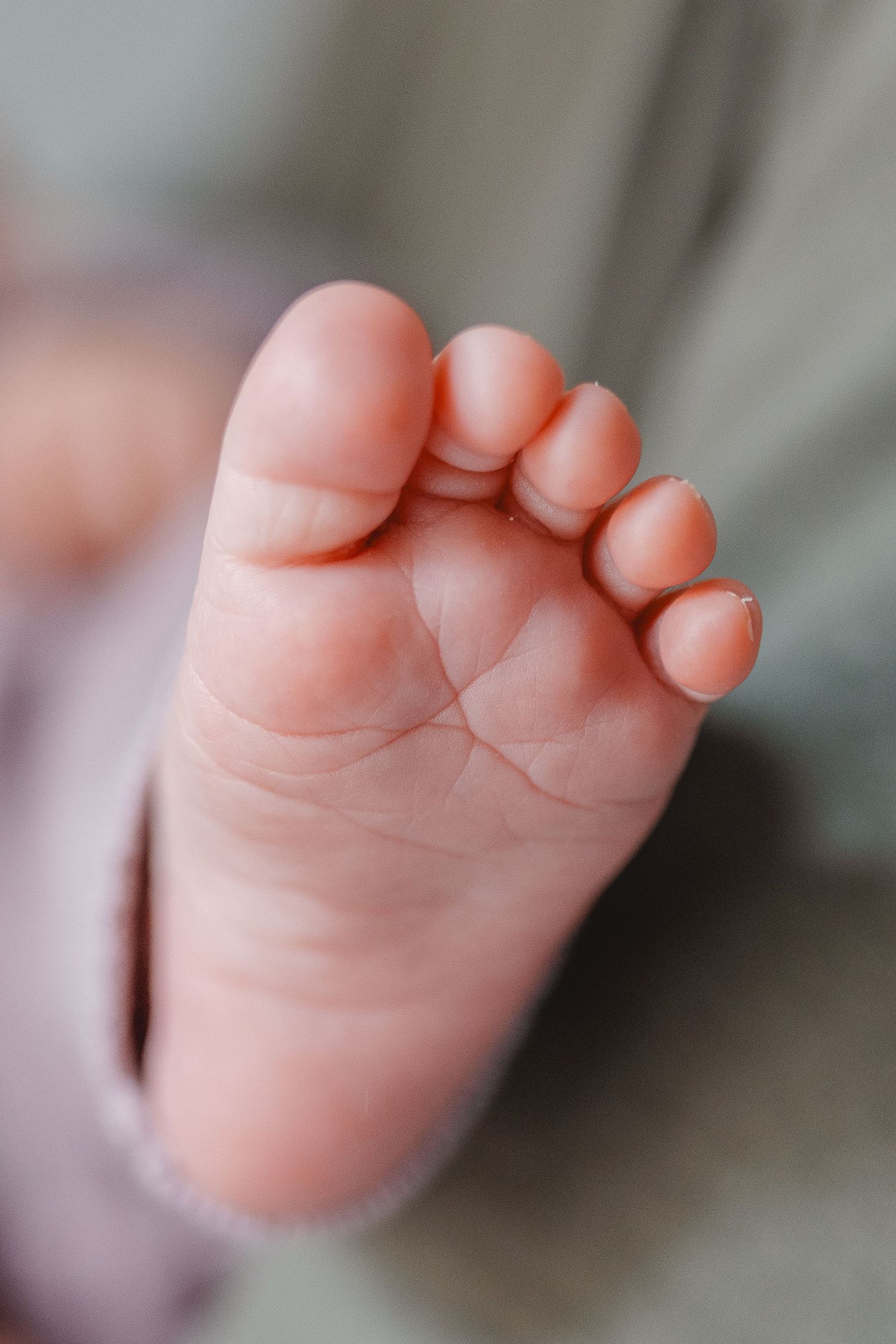 A series of close-up images showing the tiny toes and feet of a newborn baby in soft pink lighting in Laguna Beach.