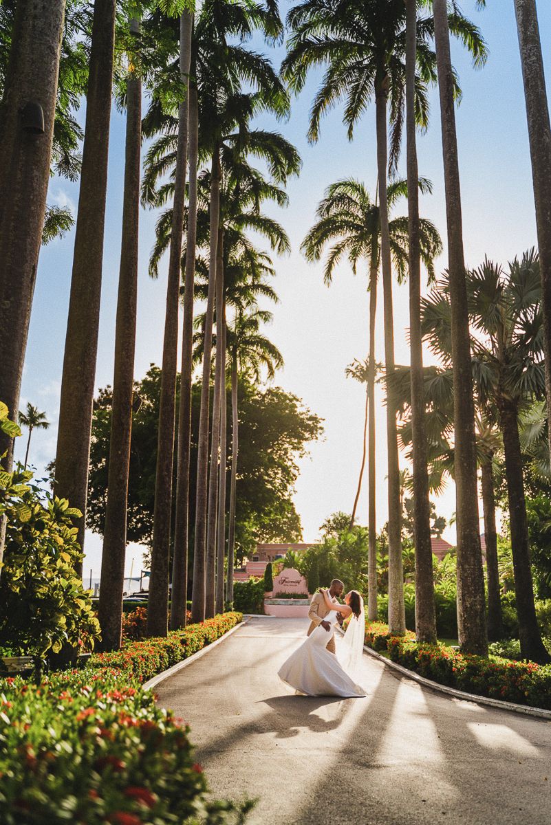 A palm tree-lined path in a tropical garden leads to a scenic overlook during golden hour.