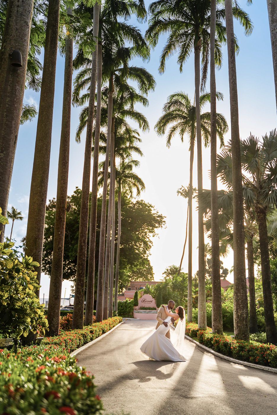 Romantic palm tree-lined pathway in a tropical garden with sunlight streaming through the trees at sunset.