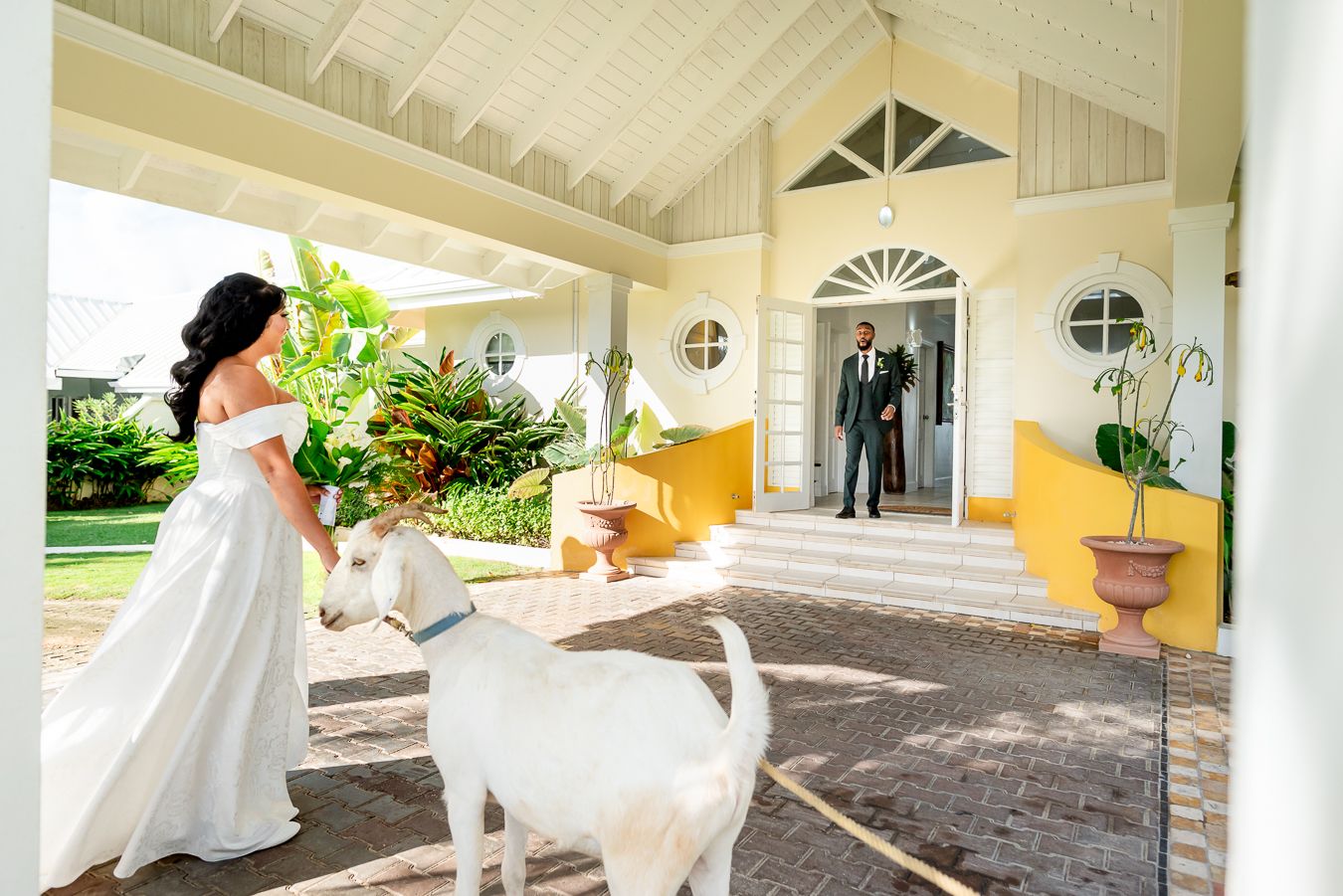 Elegant covered walkway with white columns and tropical landscaping.