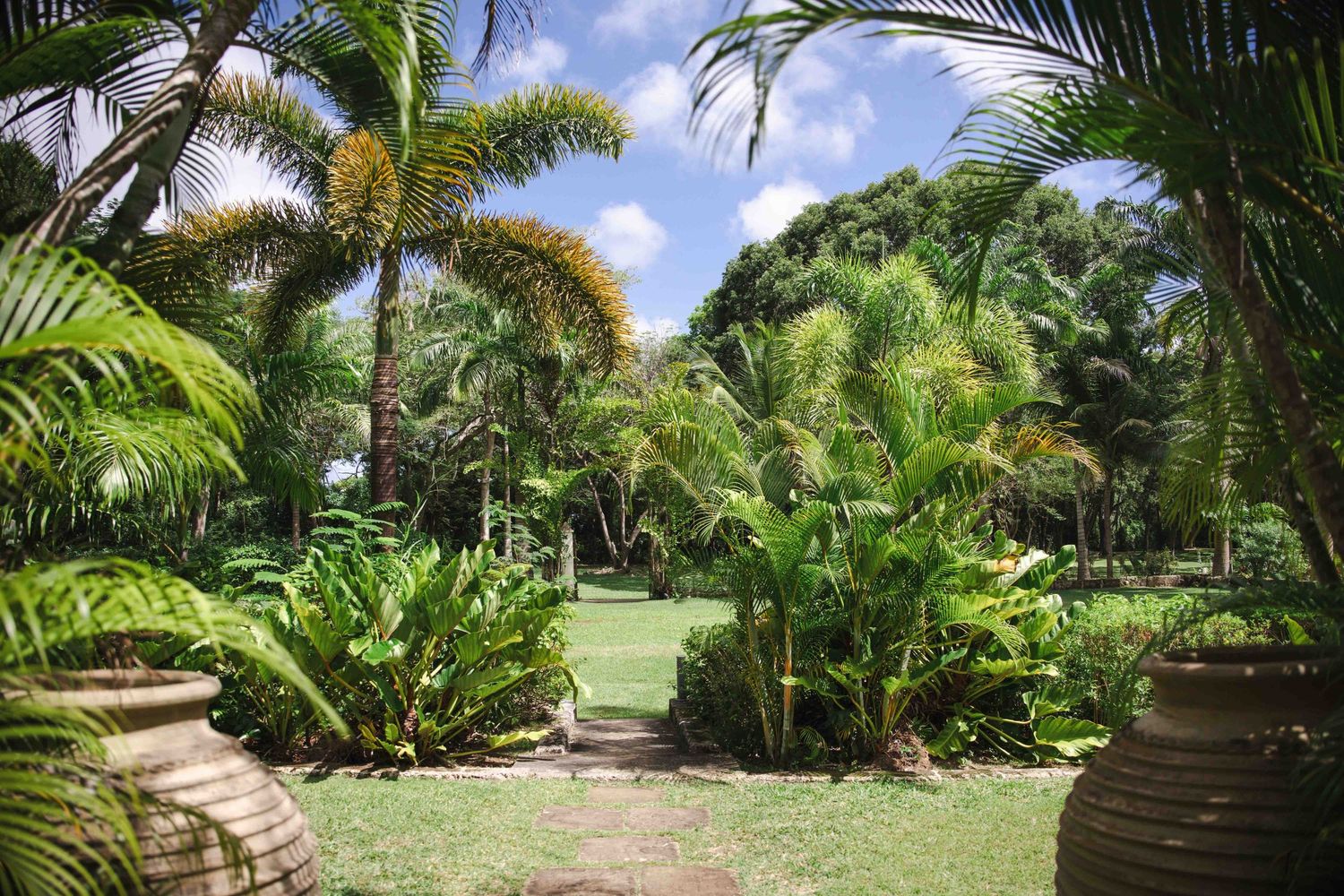 Lush tropical garden path winds through palm trees and exotic plants under bright sunlight.