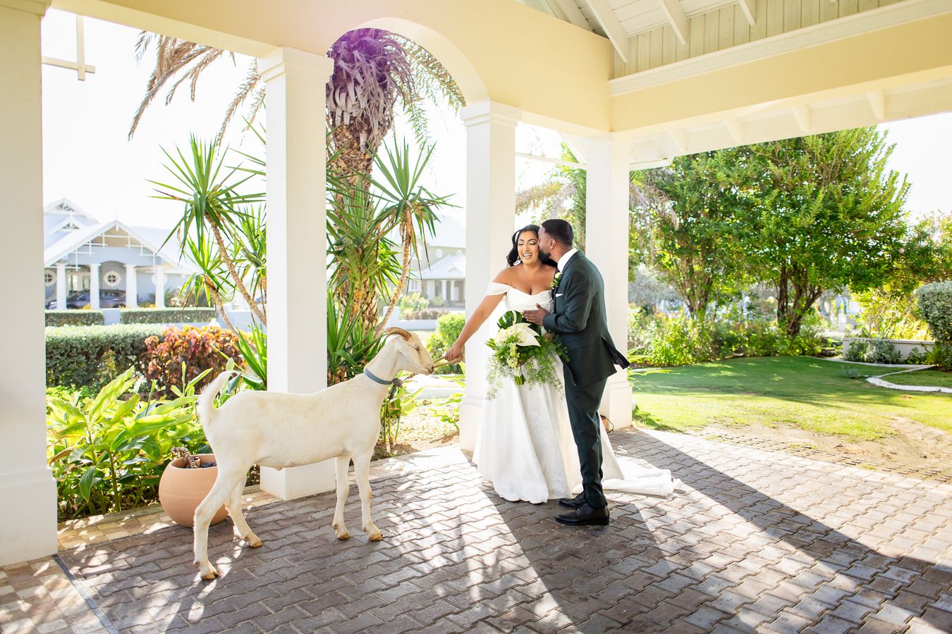 Wedding party poses on a bright white porch with yellow walls and tropical landscaping in the background.