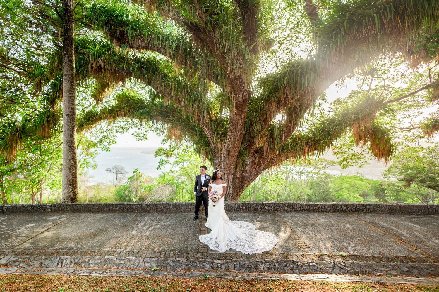 Bride and groom stand beneath a massive moss-draped tree with sunlight streaming through, creating a romantic wedding portrait.